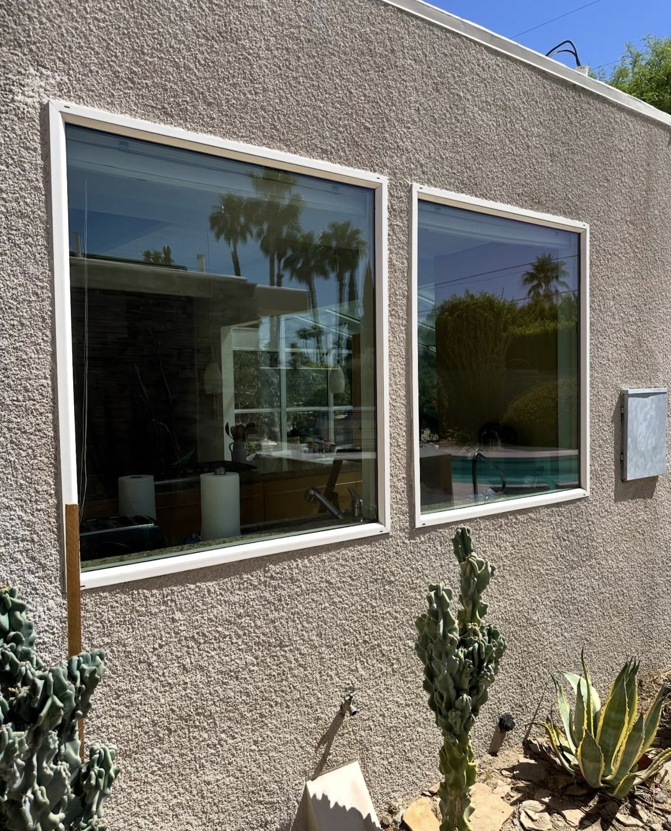 Exterior of a building with two large windows reflecting palm trees, power lines, and blue sky, with desert plants including cacti in front.