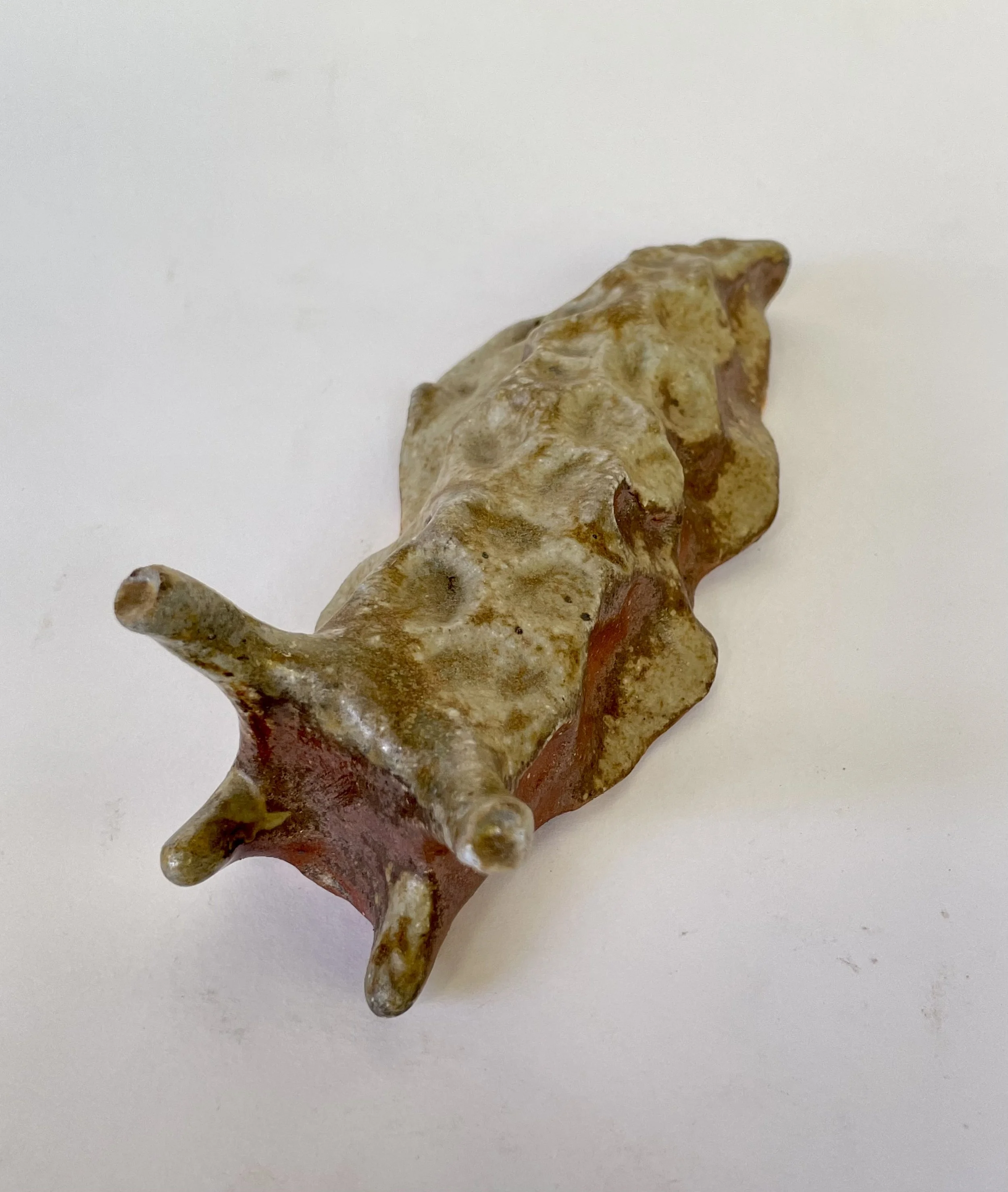 A figurative slug resting on a white surface.