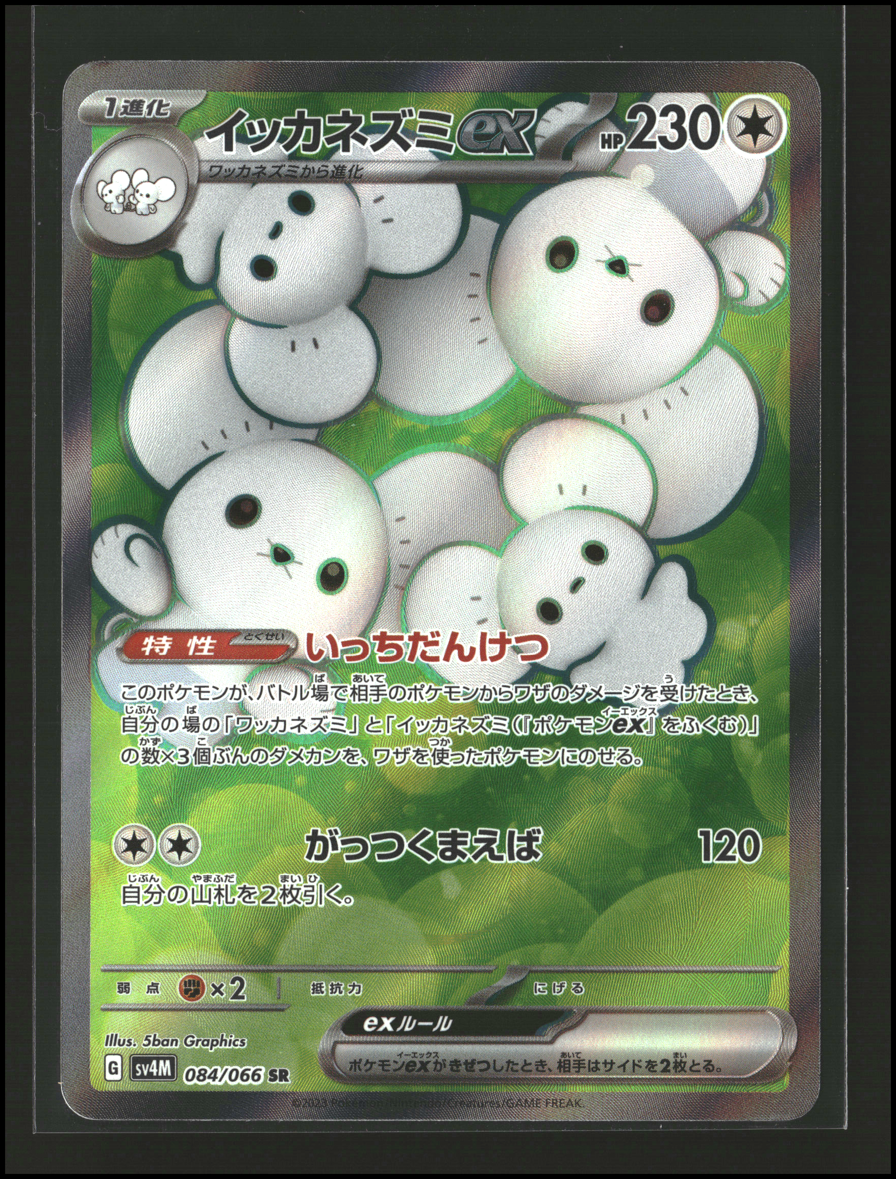 Maushold #084/066 (pj)