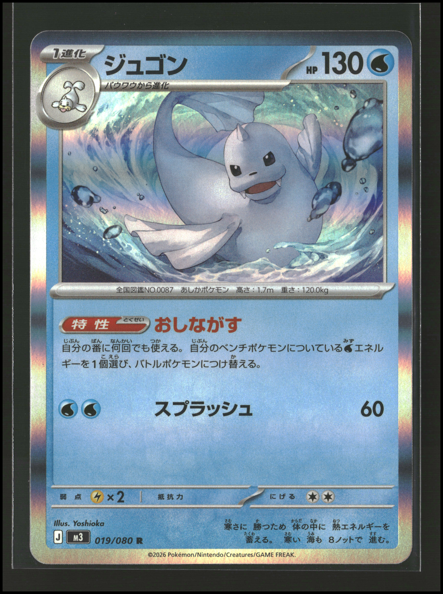 Dewgong #019/080 | Mega Evolutions: Nihil Zero | Pokémon