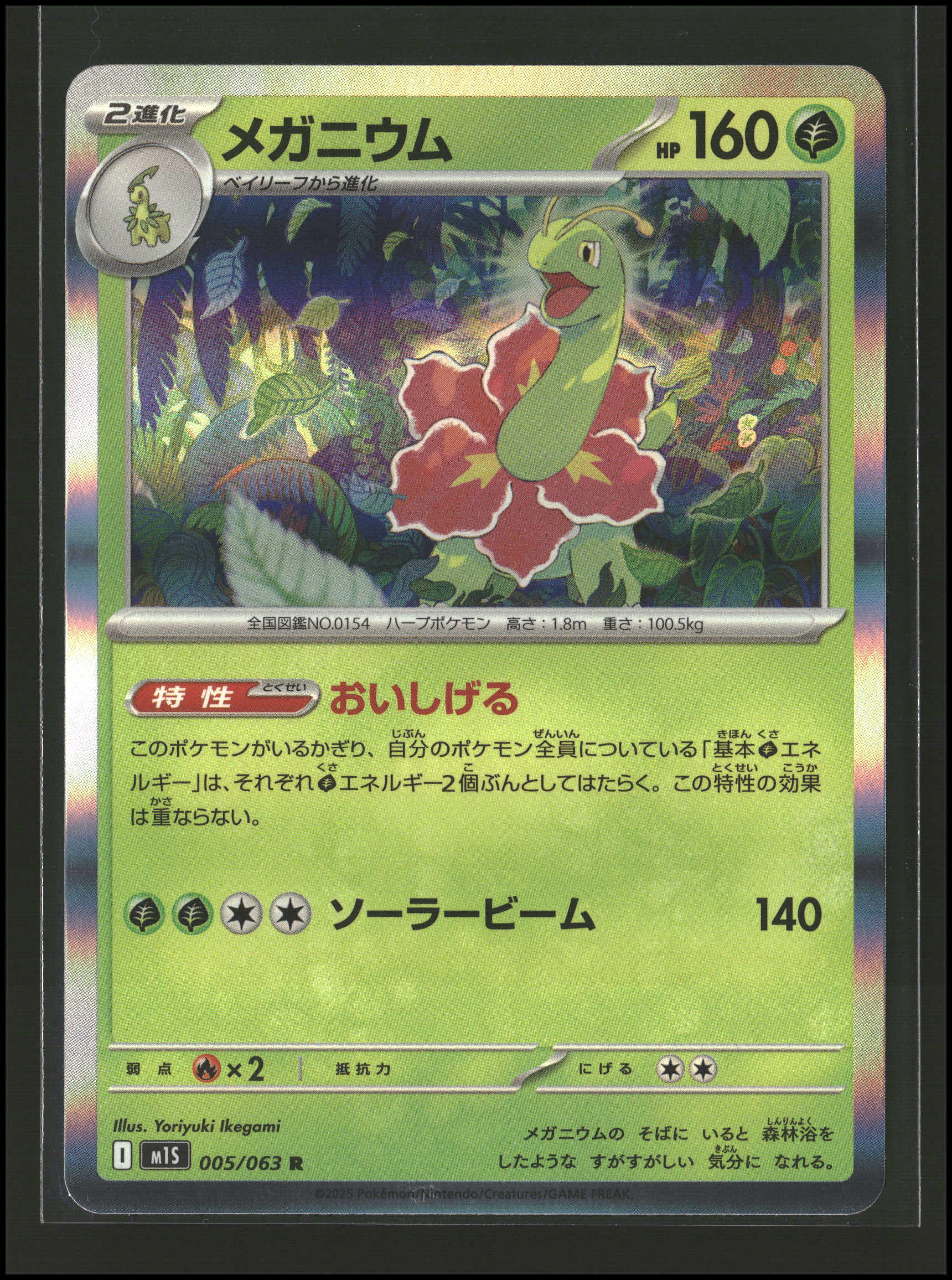 Meganium #005/063 | Mega Evolutions: Mega Symphonia | Pokémon