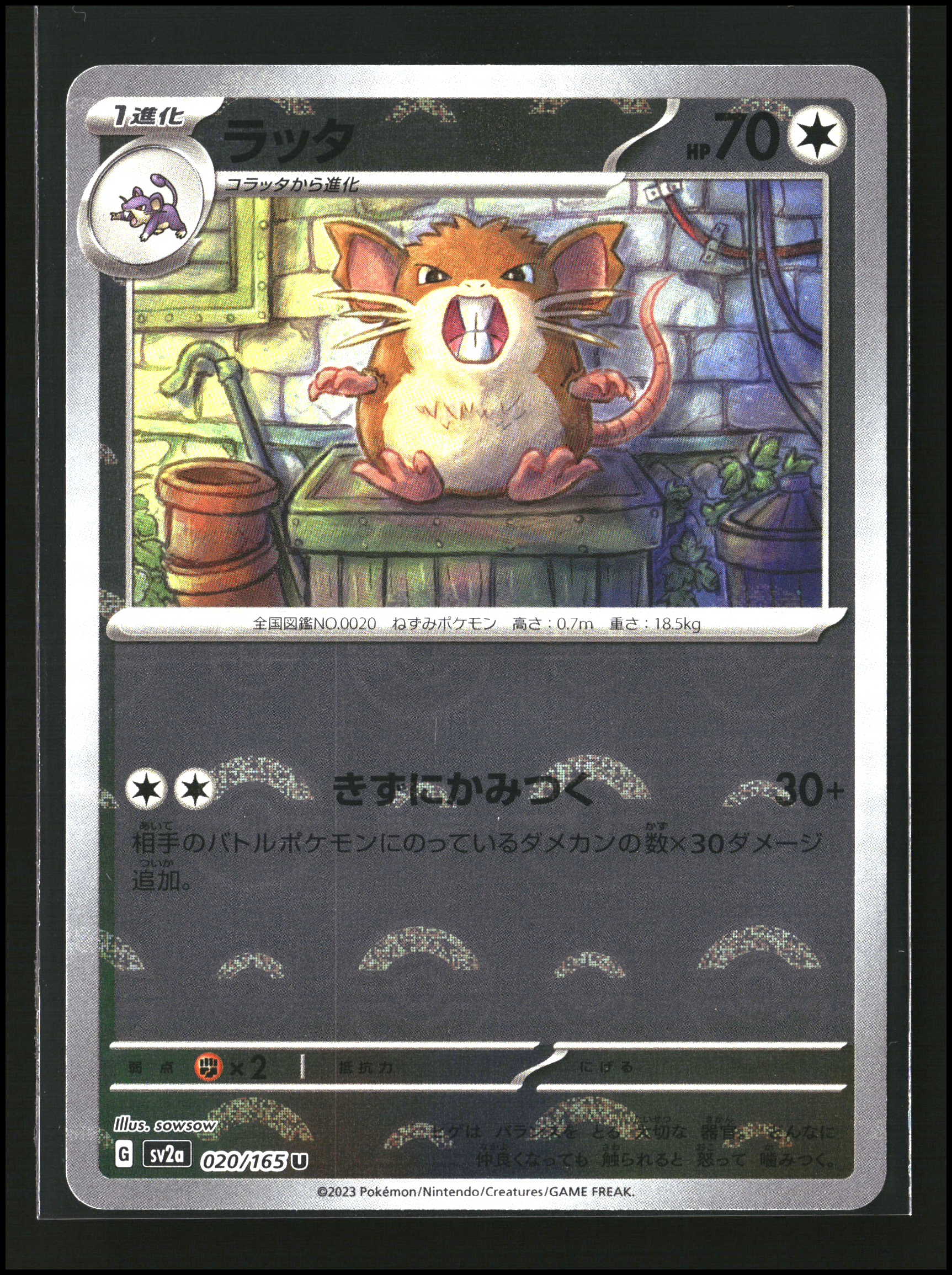 Raticate #020/165 [Poke Ball] | sv2a: 151 | Pokémon