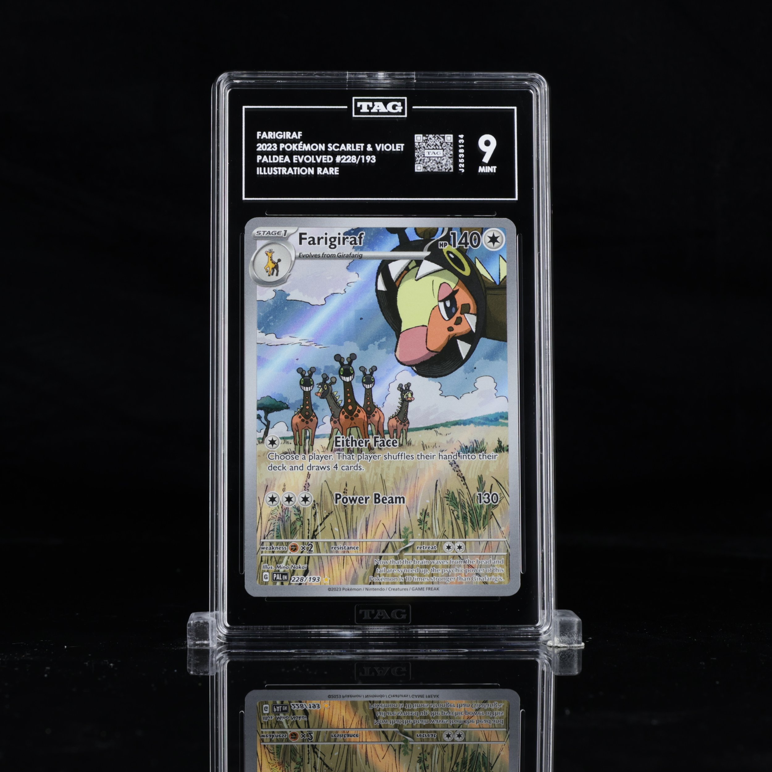 Farigiraf #228/193 (pe)