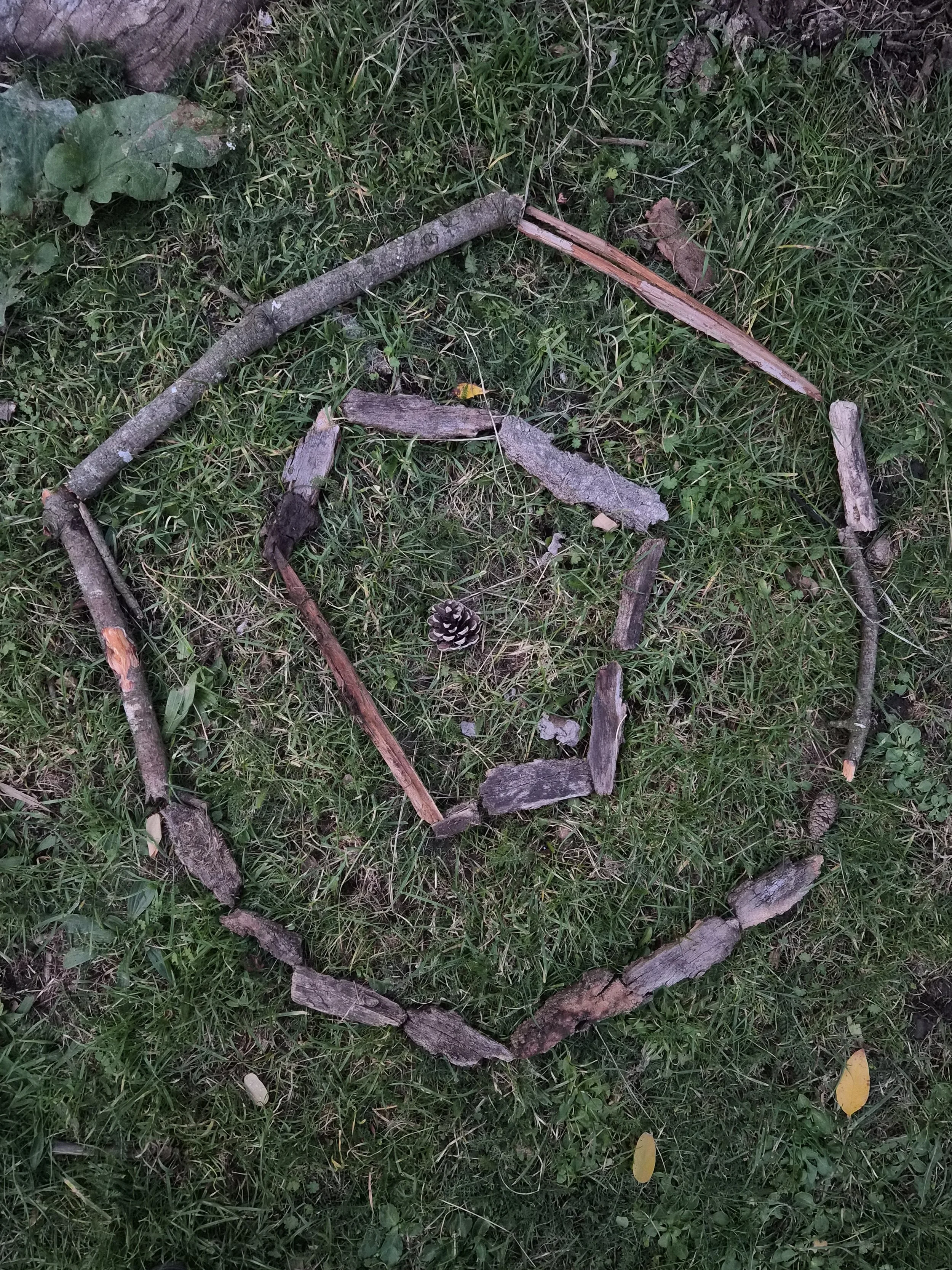 Random sticks arranged in a hexagonal shape on grass with a pinecone in the center.