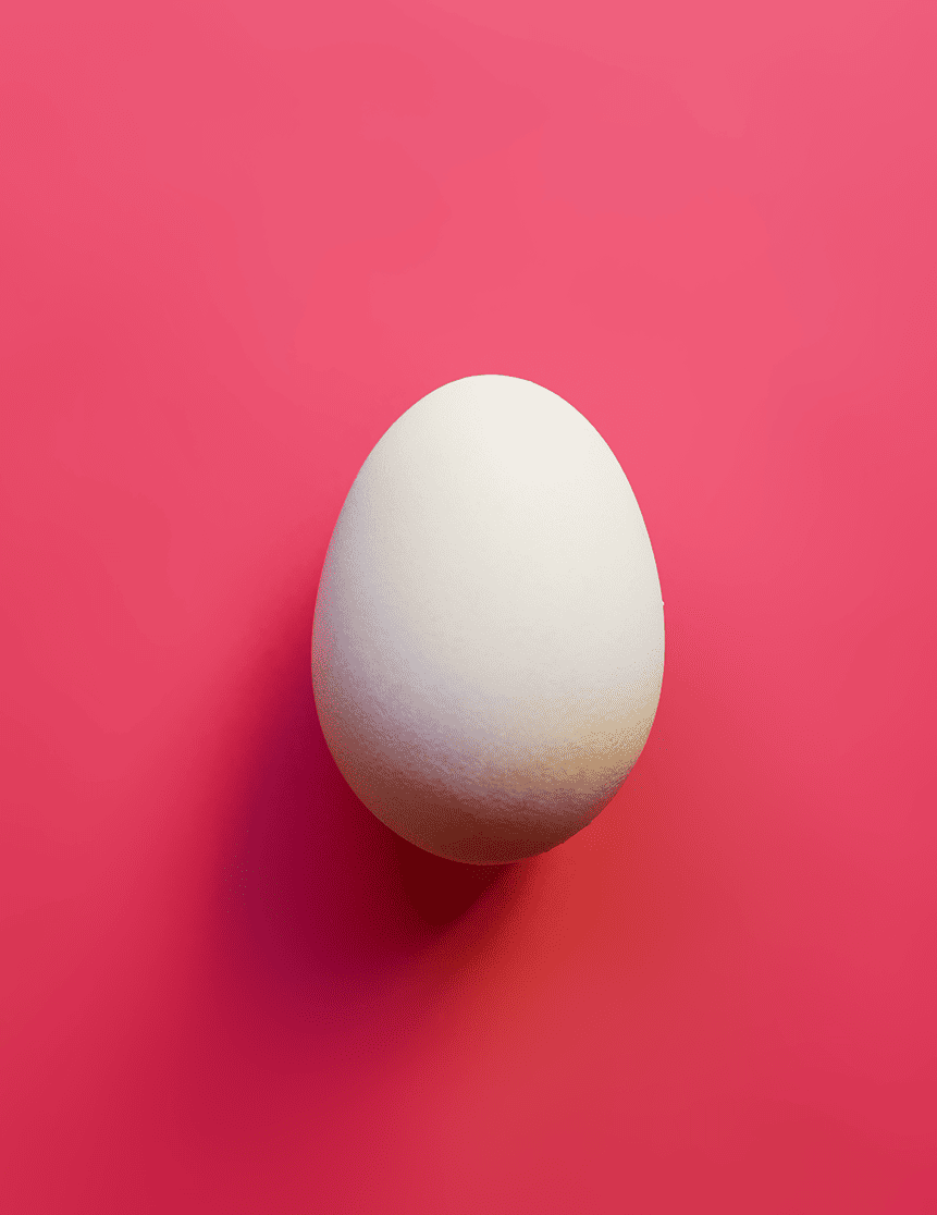 A white eggshell on a pink background.