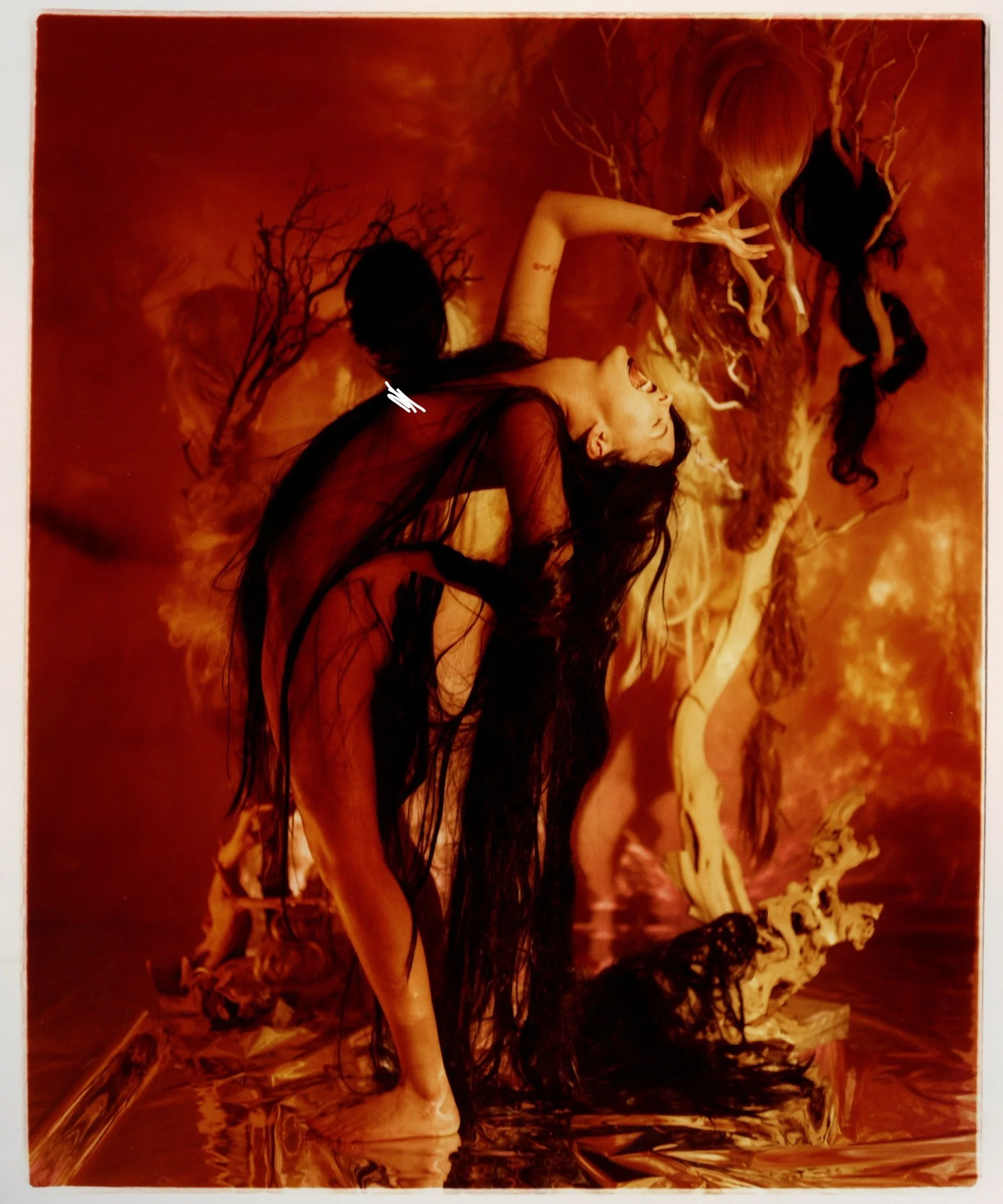 Photo Nov 15 2022, 7 11 22 AM.jpg