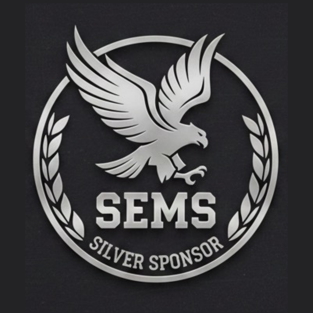 Silver Sponsor
