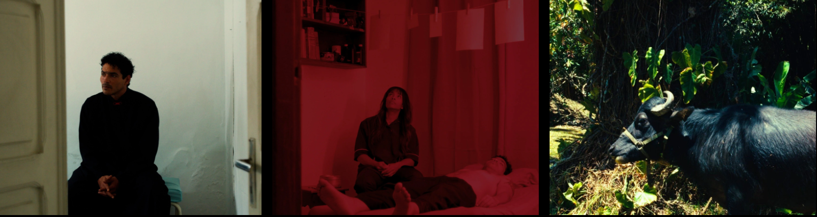 El Sonido Es El Cuerpo