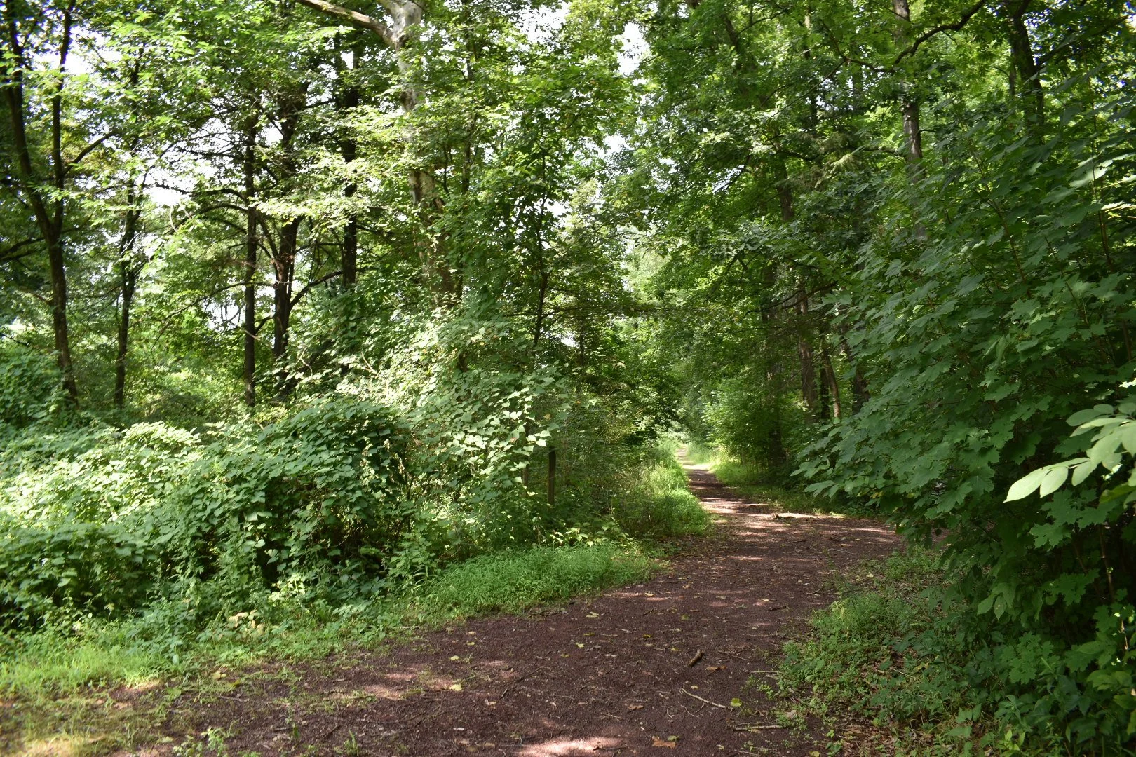 The Most Dangerous Narrative in the Boardroom.