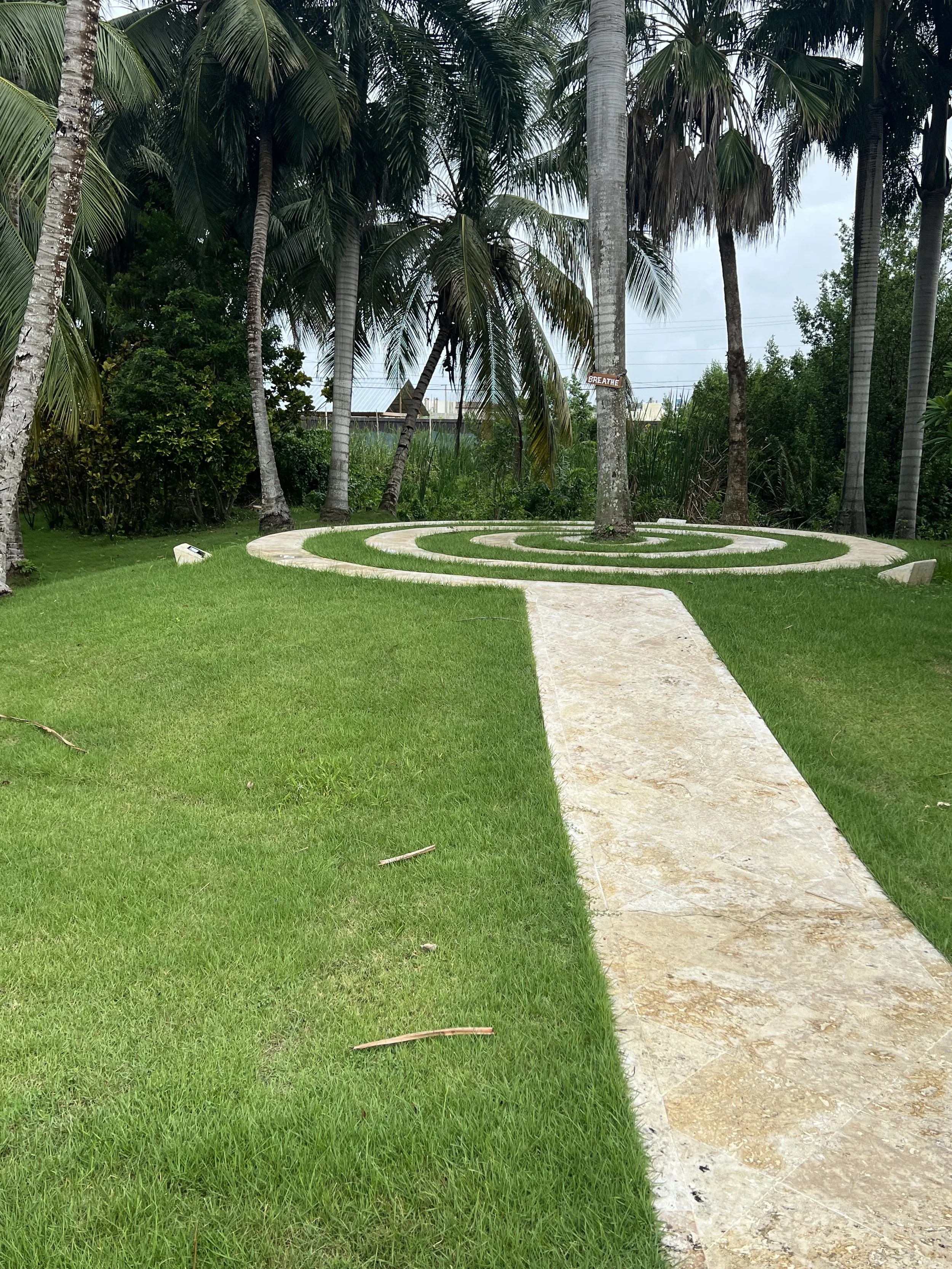 The Four Things People Actually Need in a Conflict