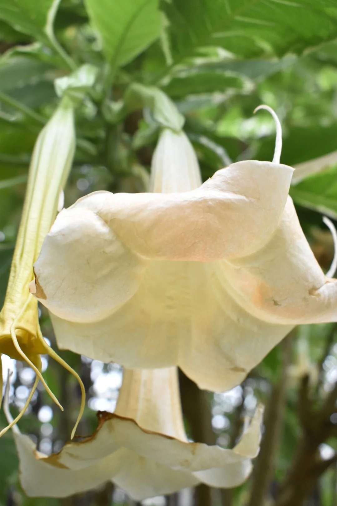 When the Room Goes Quiet: What Silence at the Board Table Is Actually Telling You