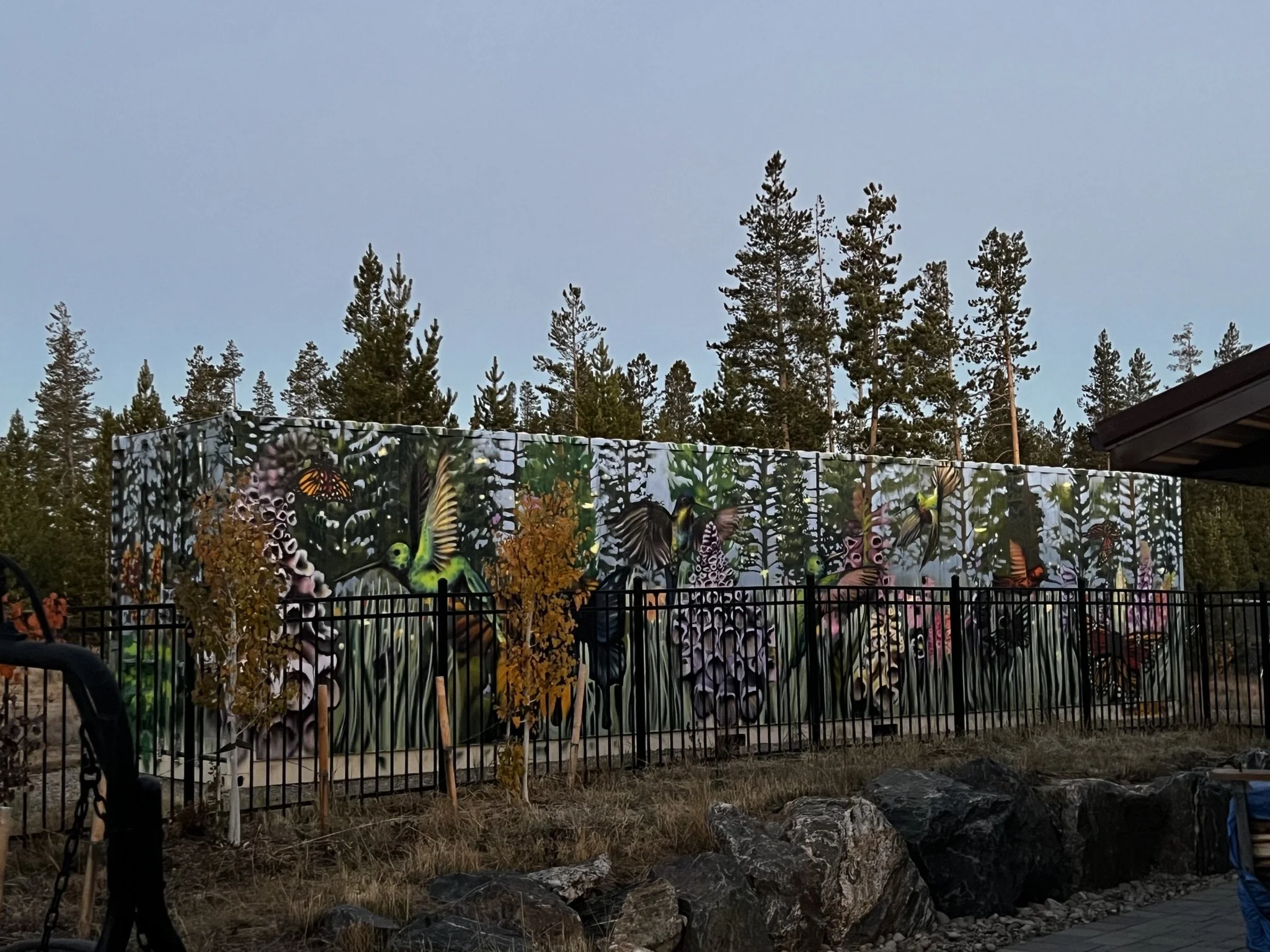 SC_fullface (1).jpeg