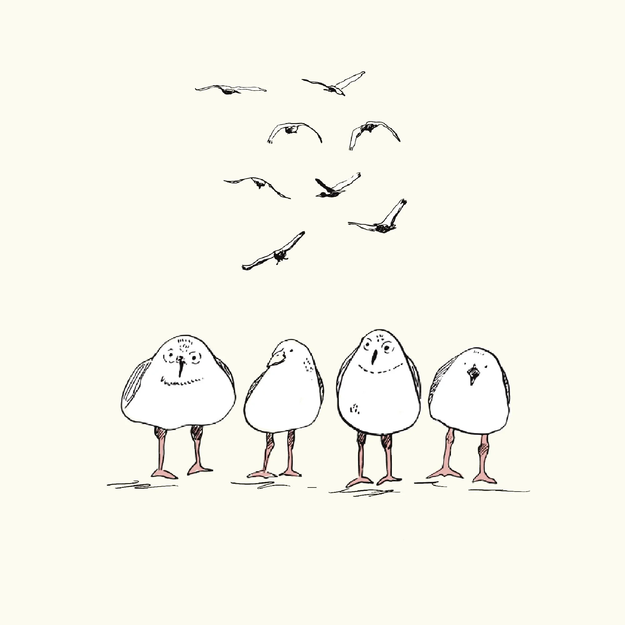 Seagull babies.jpg