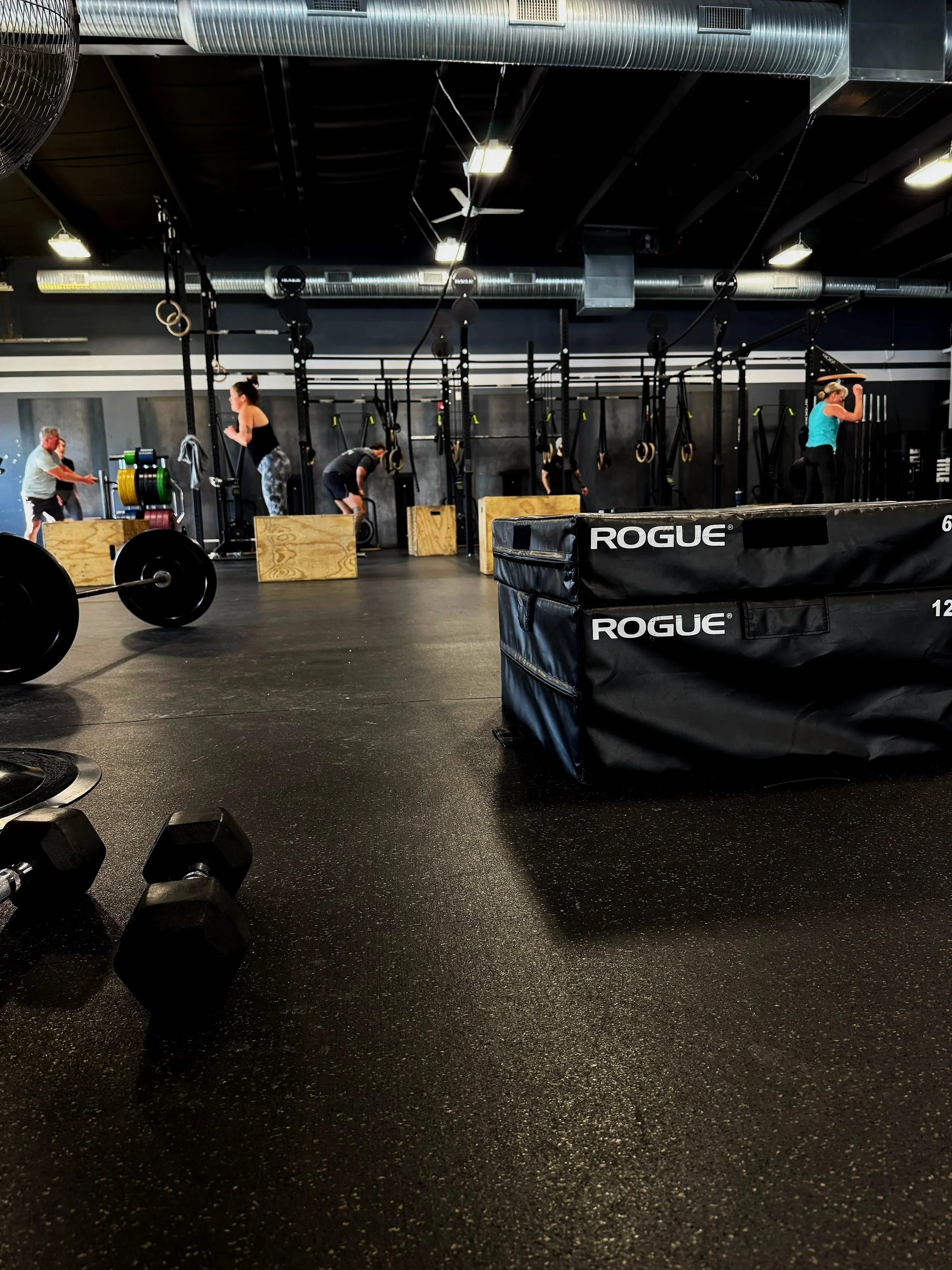 Inside a gym with black flooring, people working out with pull-up bars, boxes, and weights. Various gym equipment such as dumbbells and Rogue padding are visible.