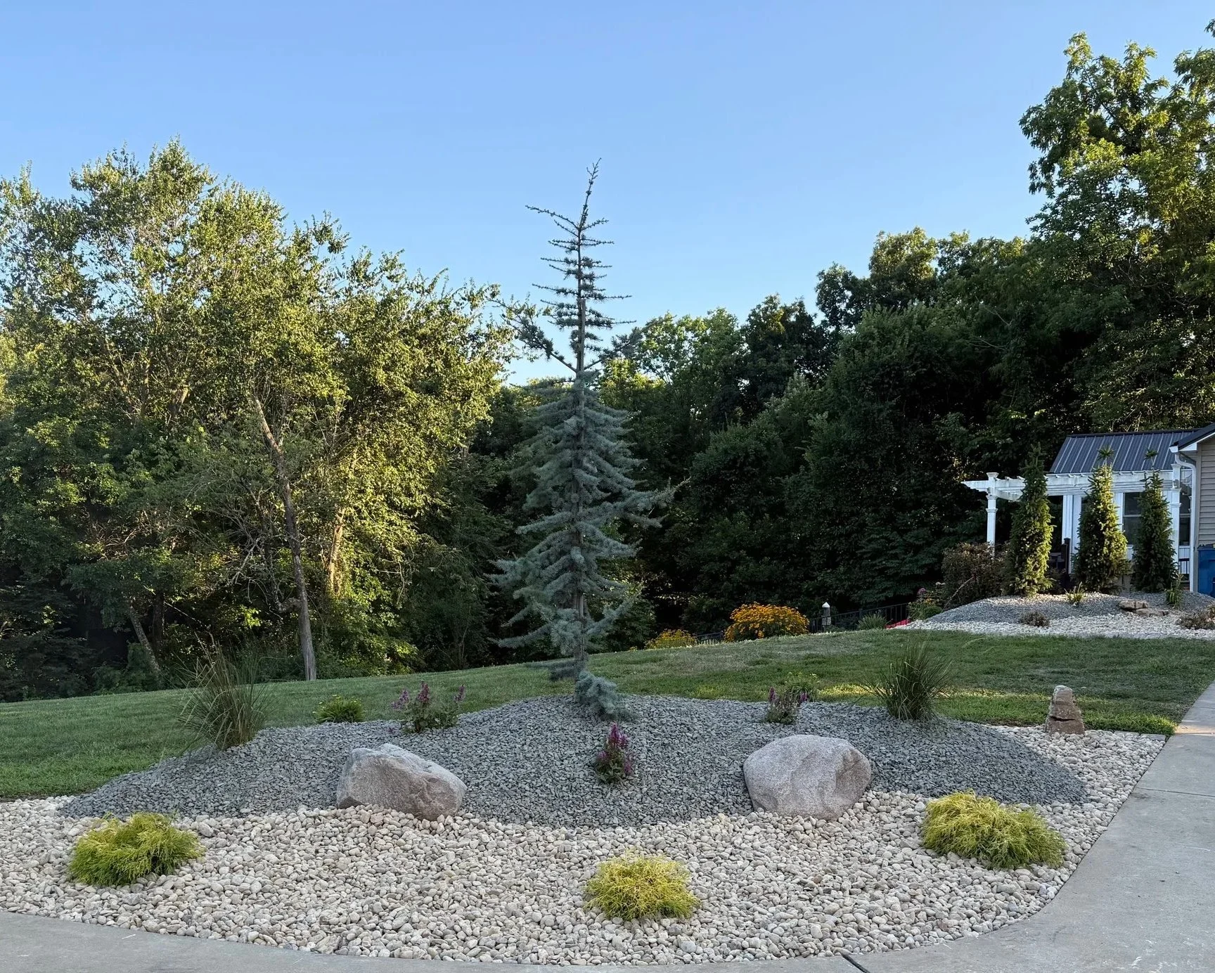 A landscaped front yard with a small evergreen tree, rocks, and ornamental plants, surrounded by lush green trees and a blue house in the background under a clear blue sky.
