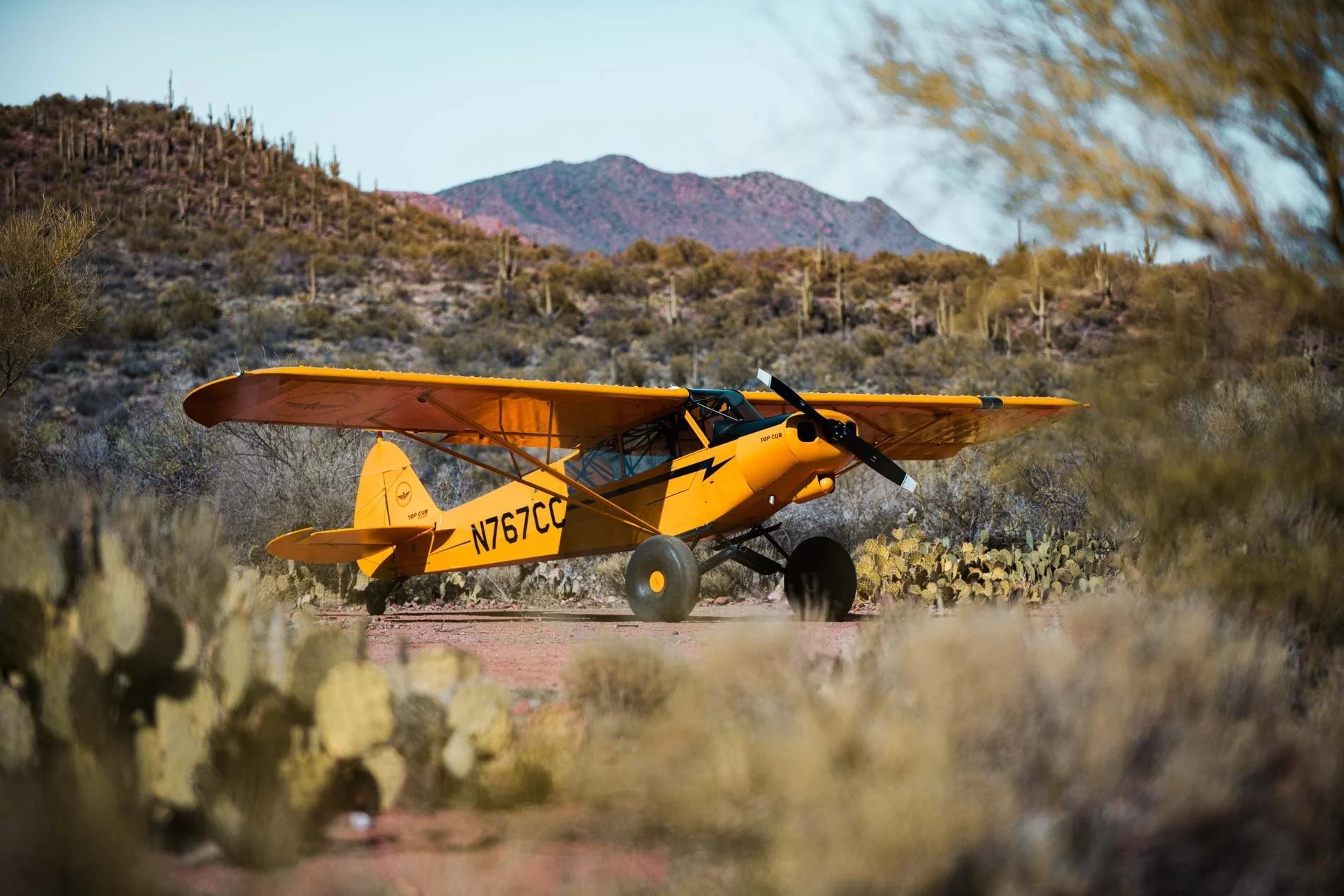 Yellow small aircraft on desert terrain with cacti and mountains in background.