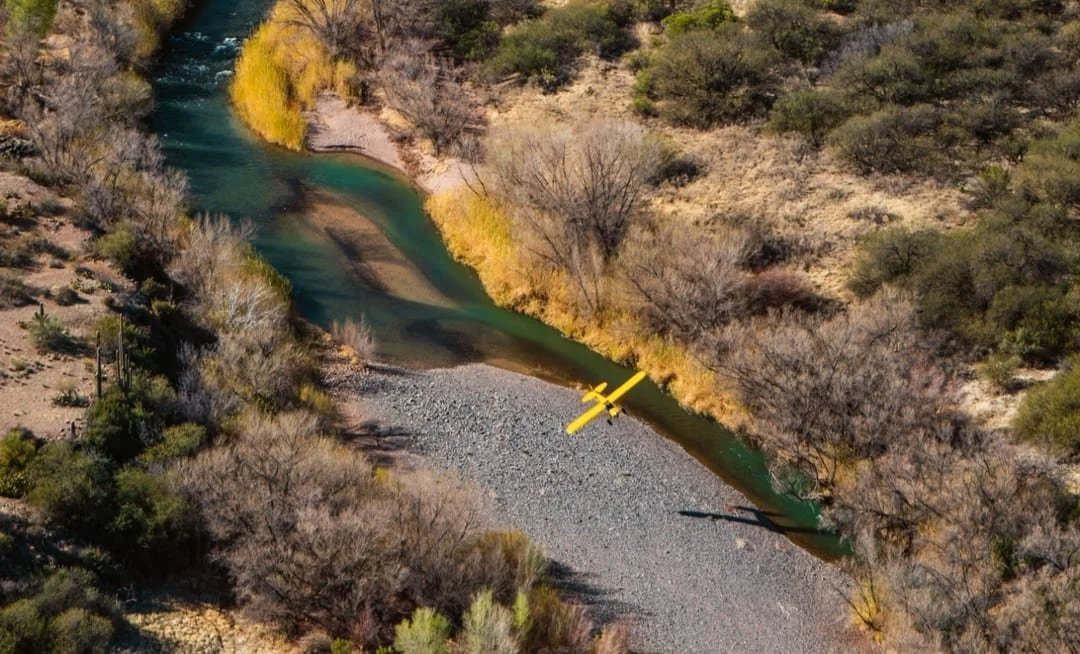 Yellow airplane flying over a narrow river in a wooded canyon with sparse trees and rocky banks.