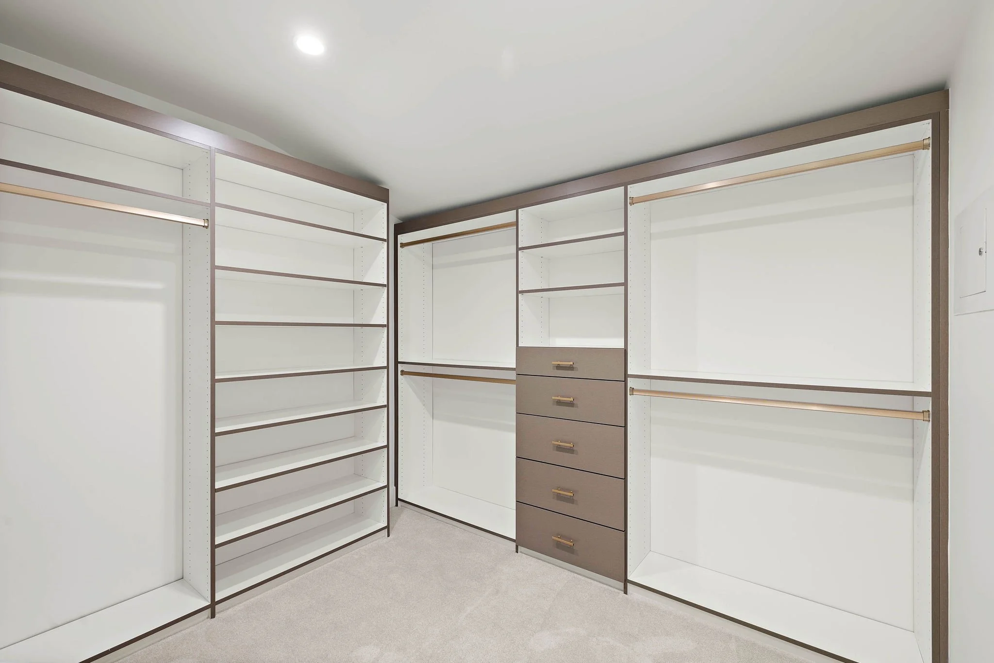 37-web-or-mls-33142 Sea Lion 37.jpg