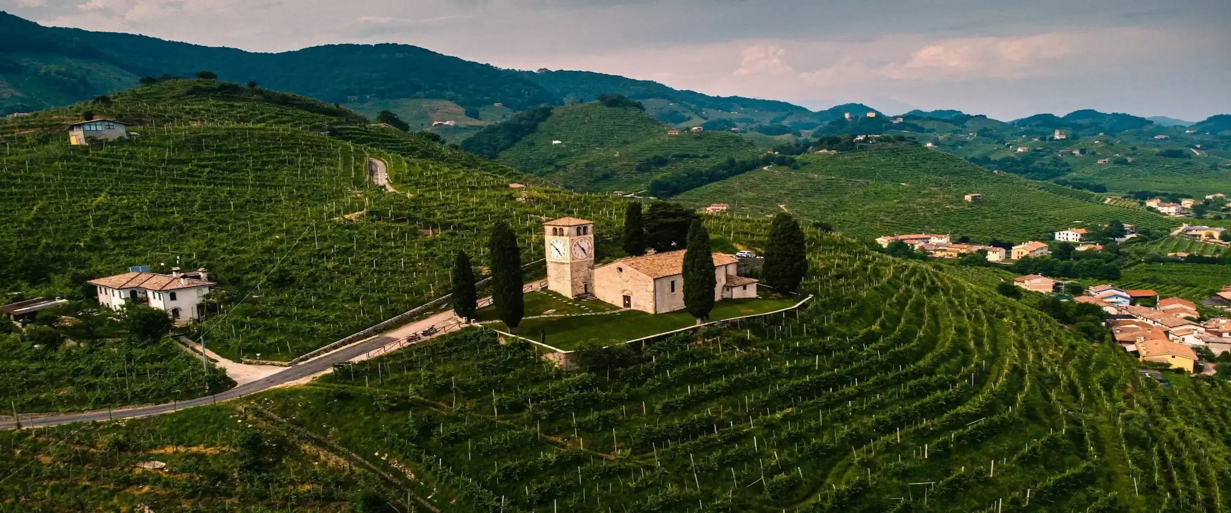 Prosecco Vineyard