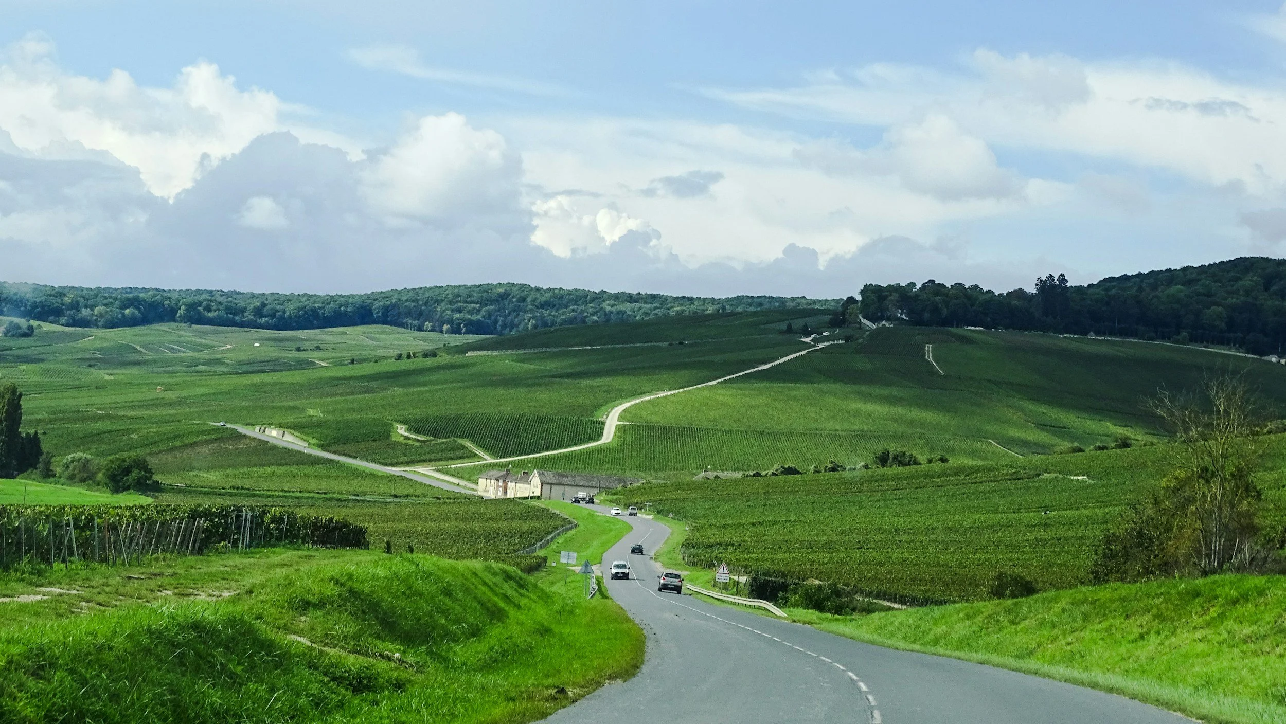 Champagne Vineyards