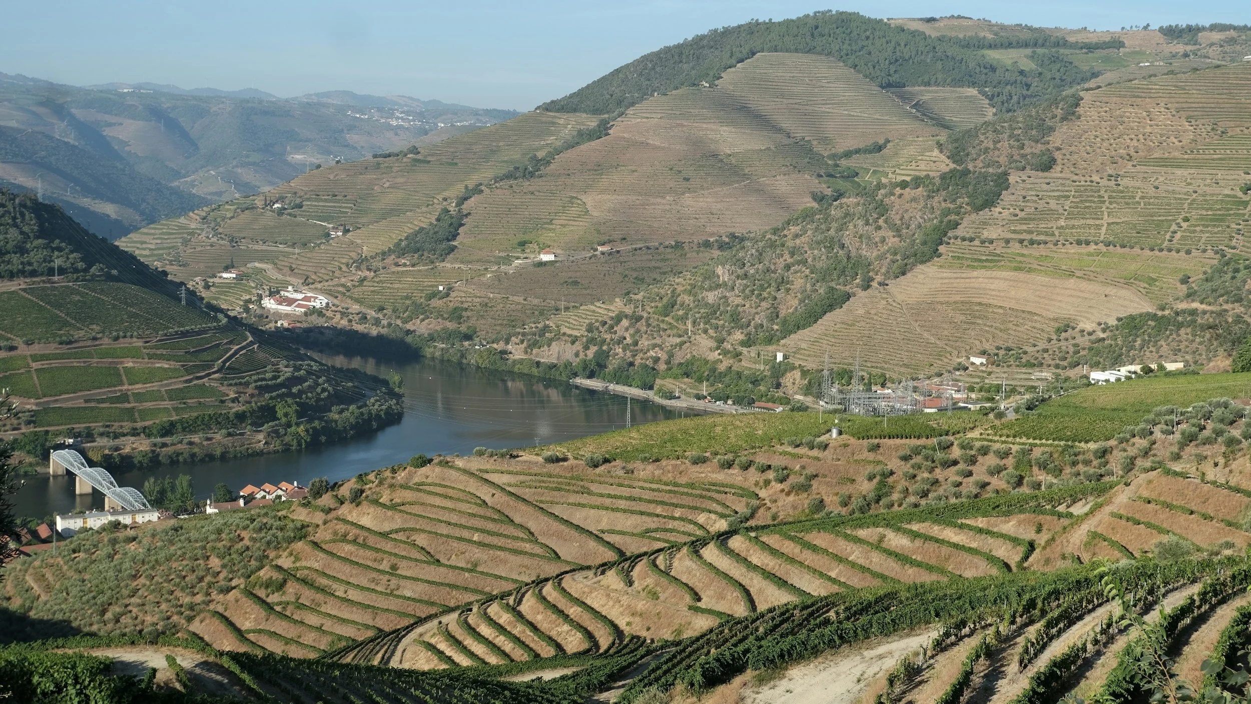 Doro Valley Port Vineyards