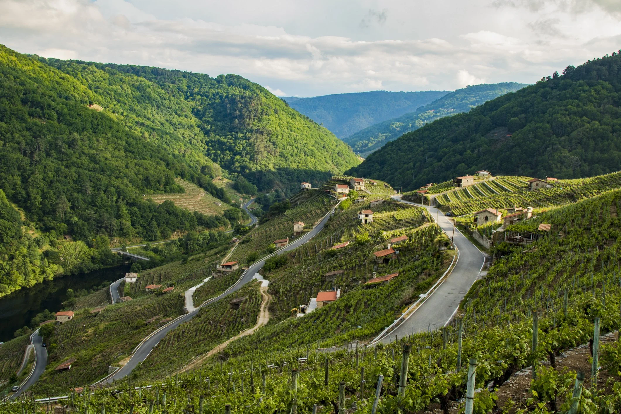 You Have to See the Problem Clearly