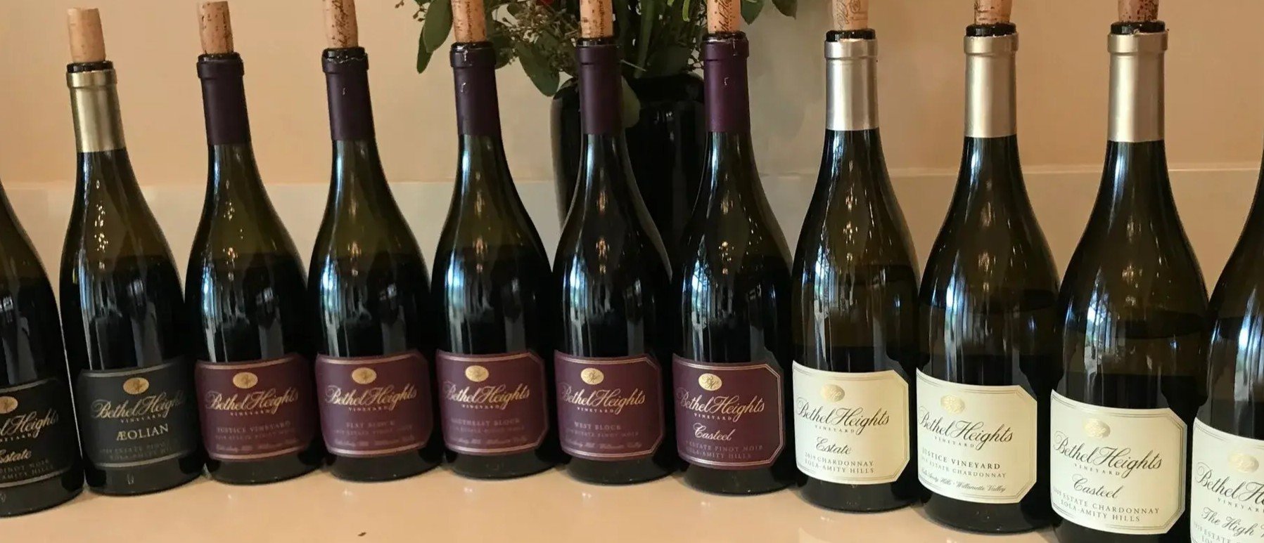 Bethel Heights Vineyard