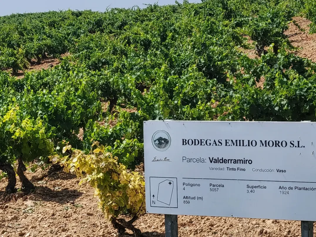 Bodegas Emilio Moro
