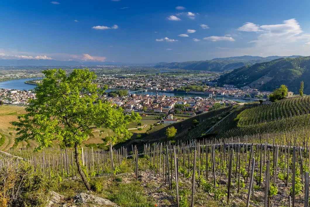 Domaine Jean-Louis Chave