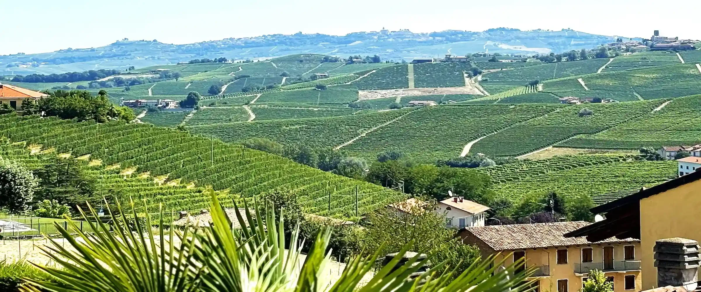 Barbaresco