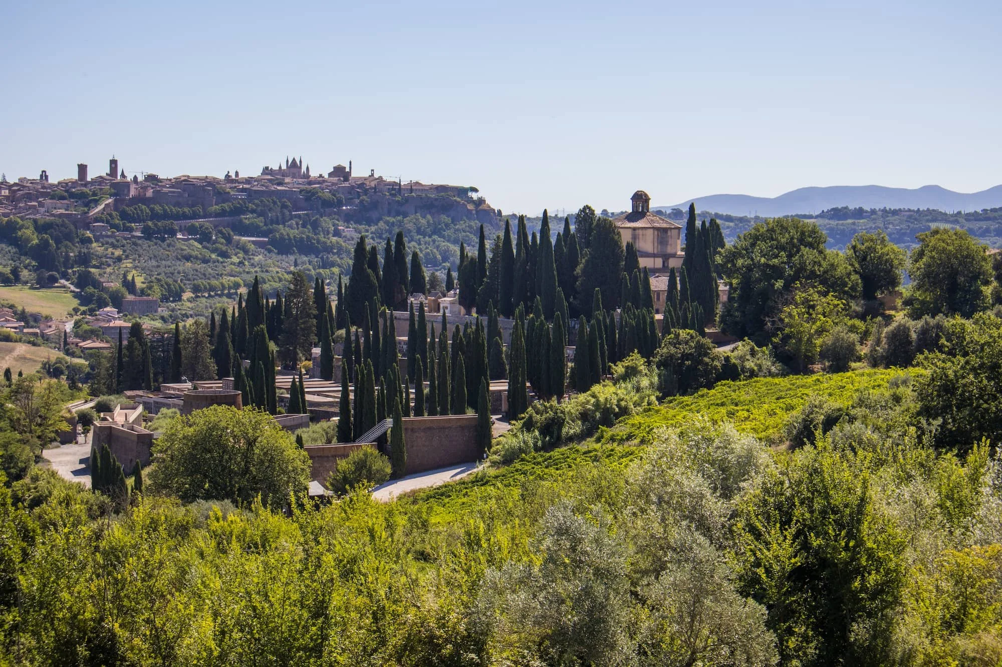 TusVineyard rows leading to a stone farmhouse above the valley near Orvieto, Umbria, Italy.cany