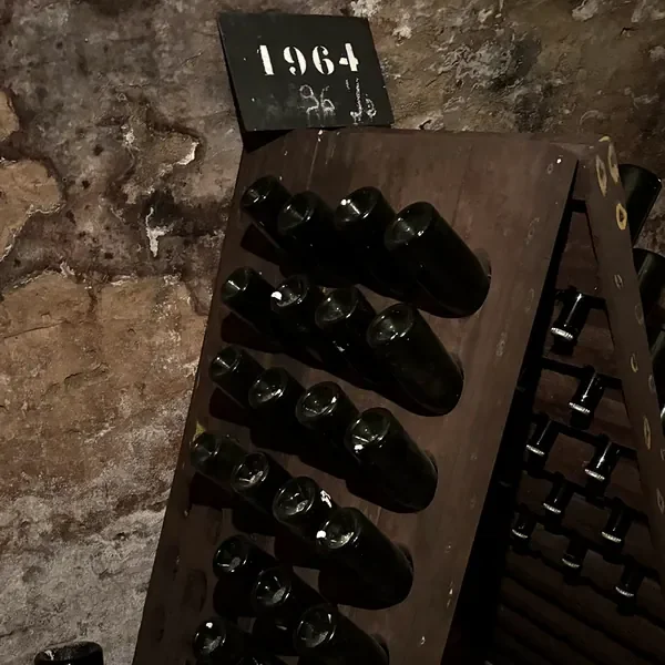 Bottles on a riddling rack marked 1964 in a Champagne chalk cellar
