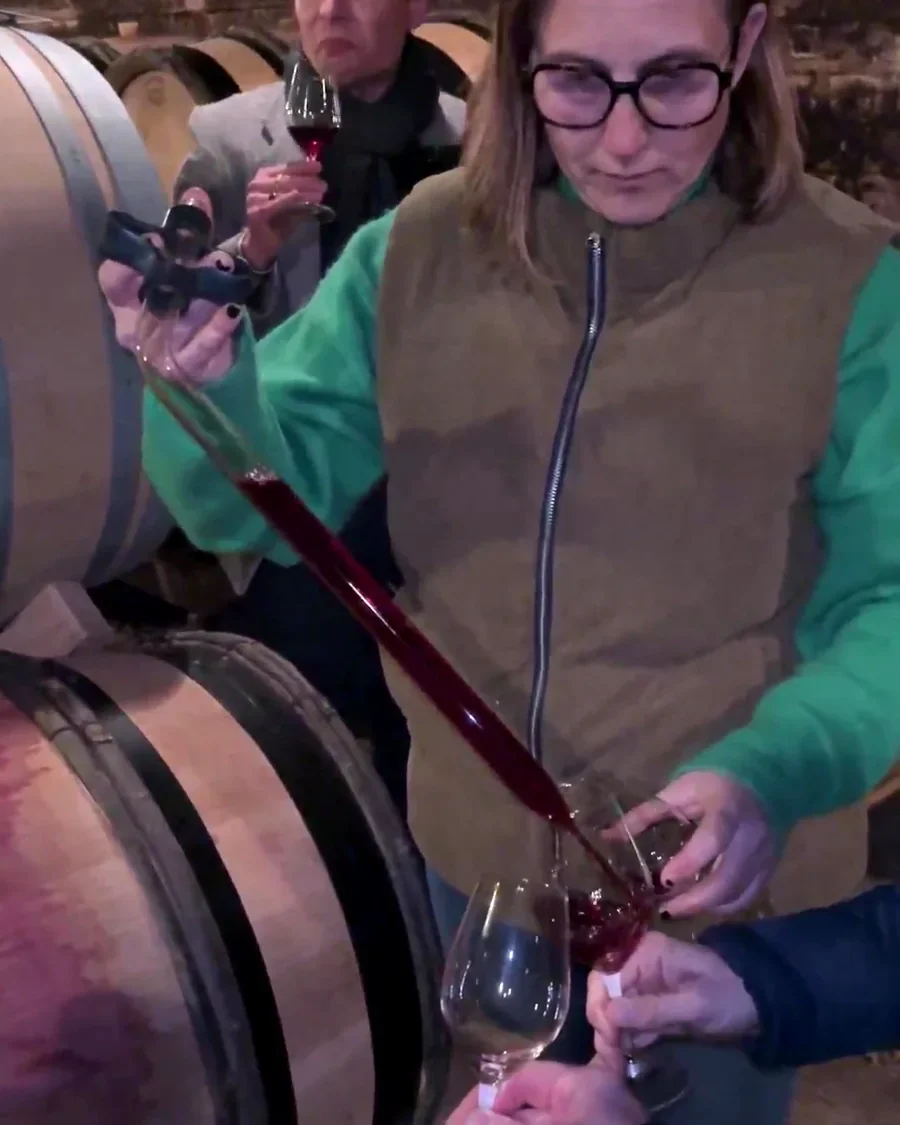 Winemaker drawing wine from barrel with a glass pipette in a Burgundy cellar
