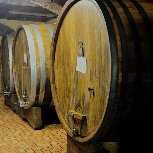 Large Slavonian oak casks in Barolo cellar