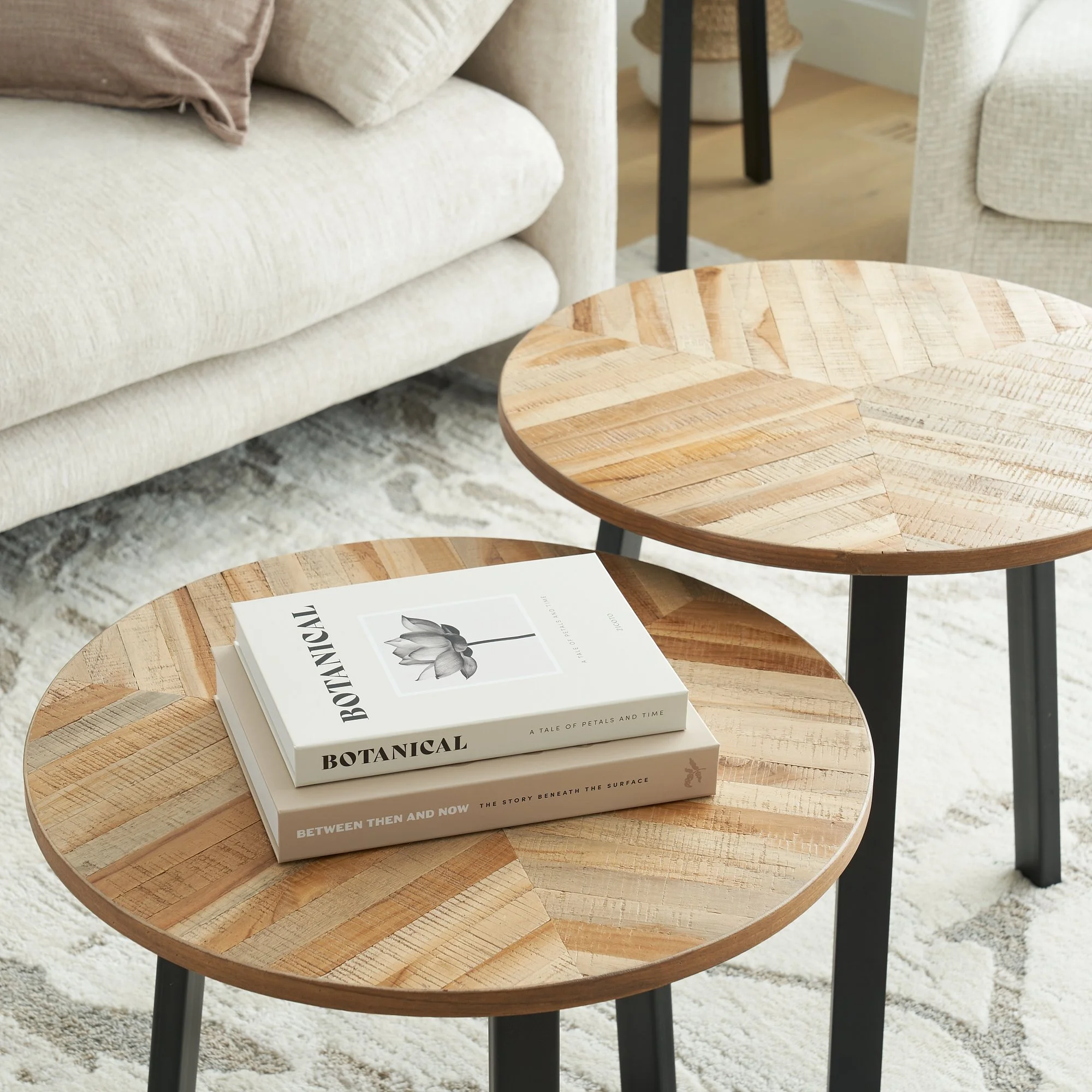 2025-12-18 25-145 - Decorative Books v6 Architectural Botanical 2.jpg