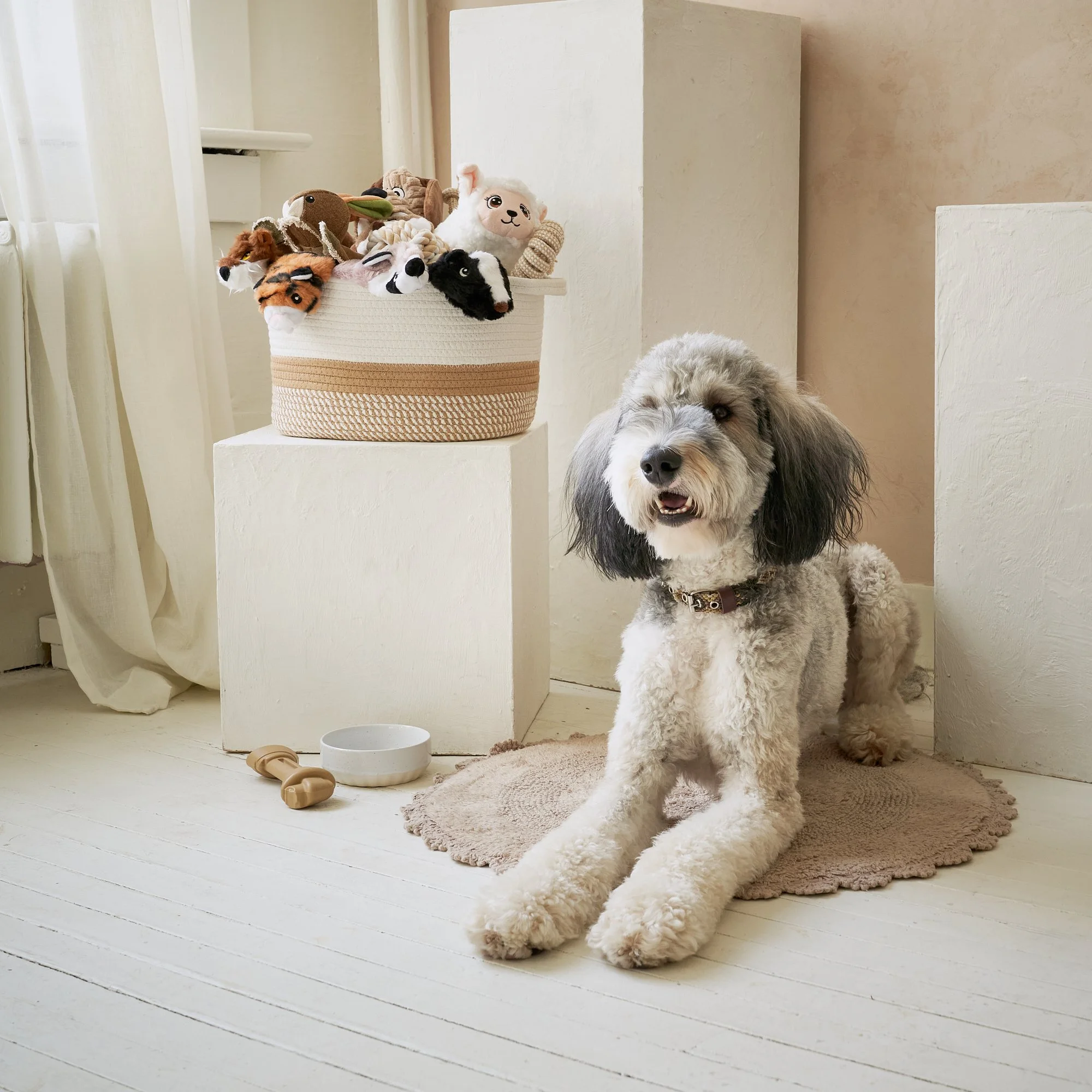 2025-07-12 24-234 - Dog Toy Box 7.jpg