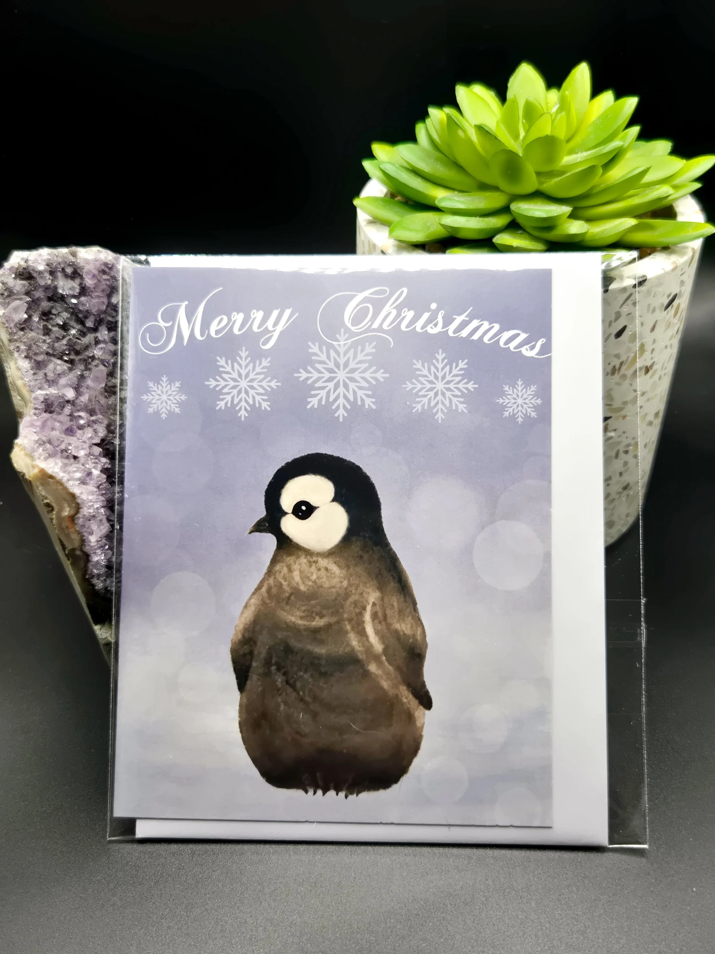 Product Photos_4.18.26_-6.jpg