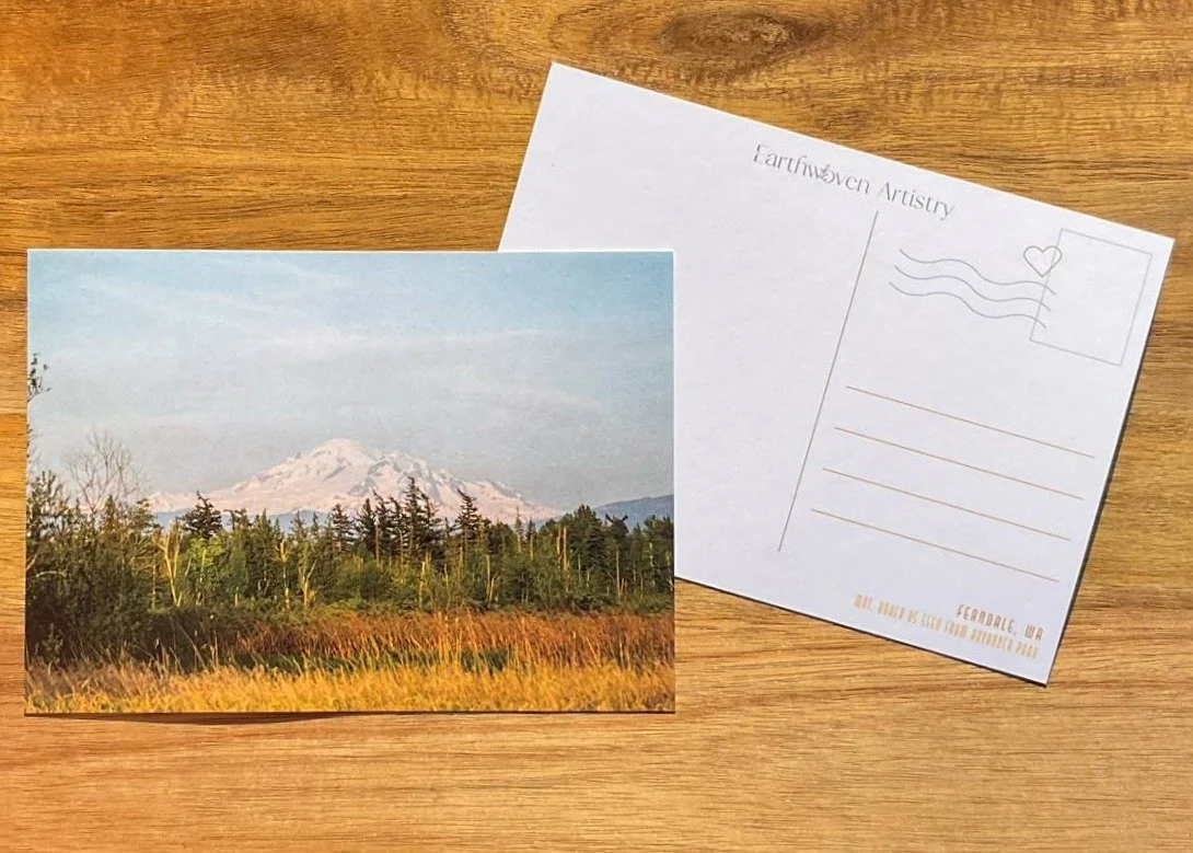 Mnt Baker at Hovander