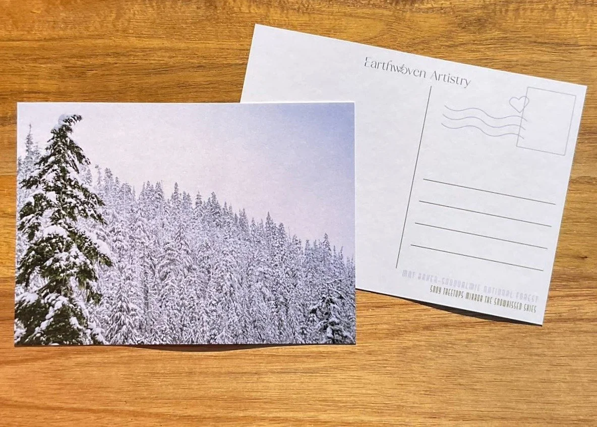 Baker Snowy Treetops - Postcard