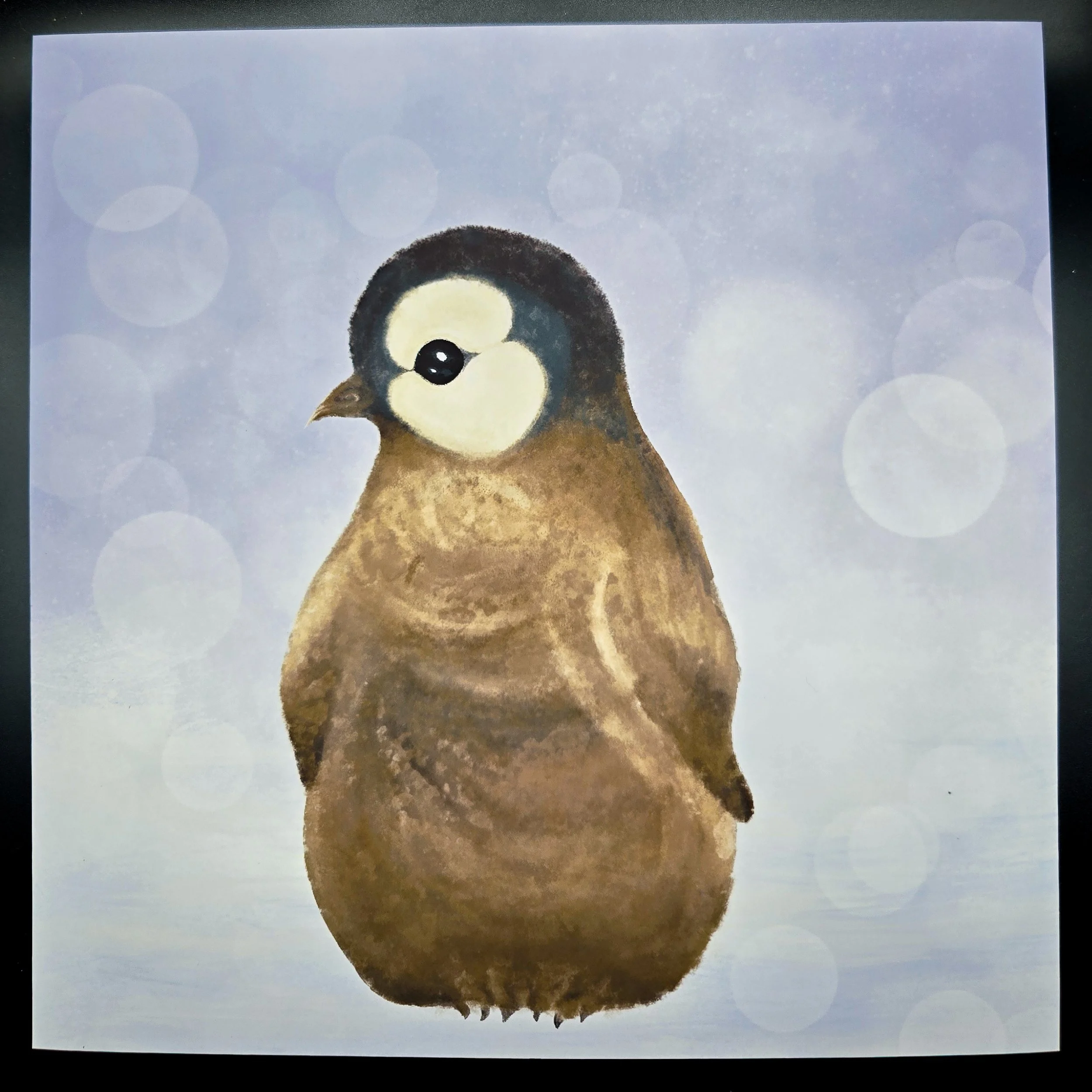 Baby Penguin - Fine Art Print