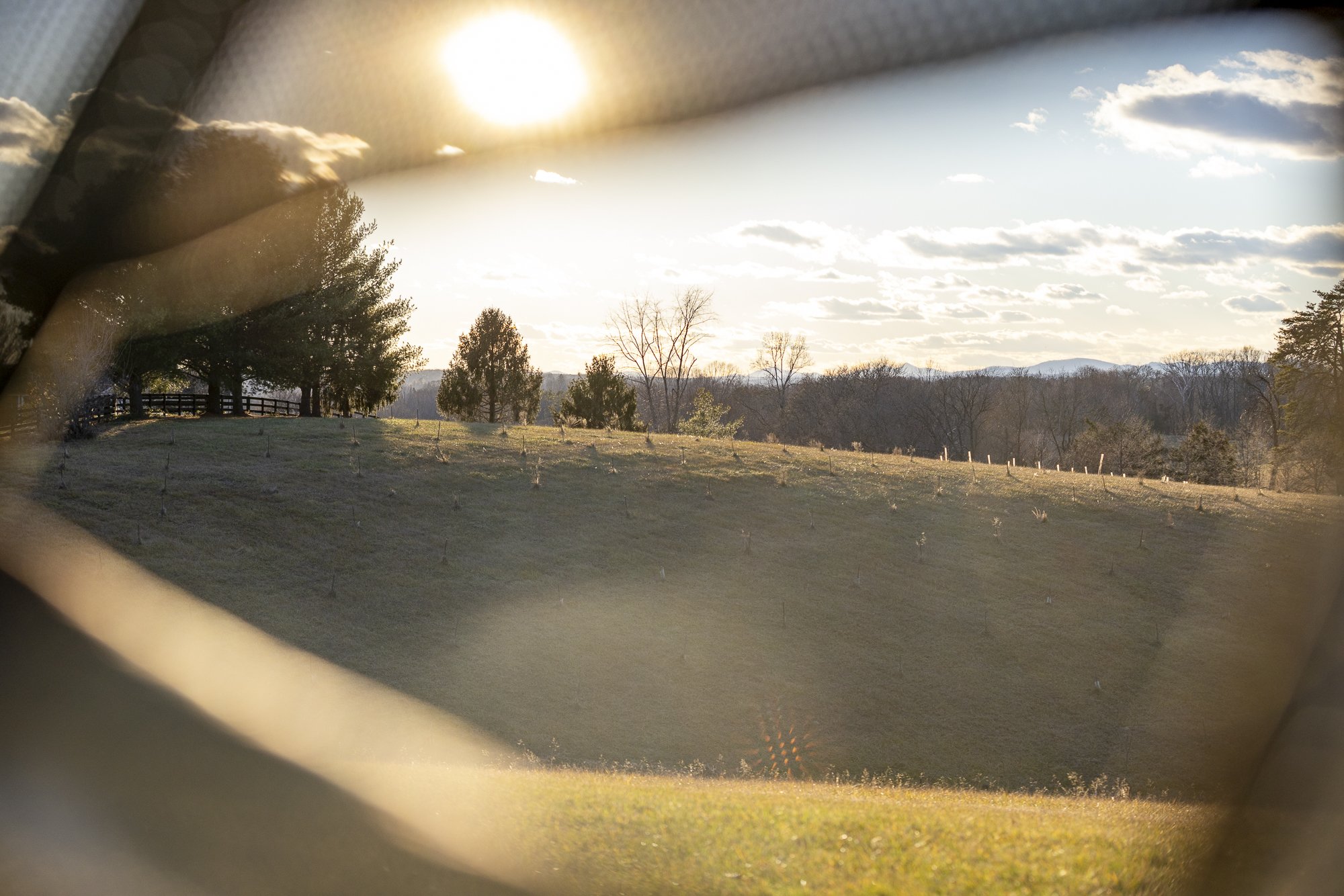 Editorial photography for CVILLE Weekly.