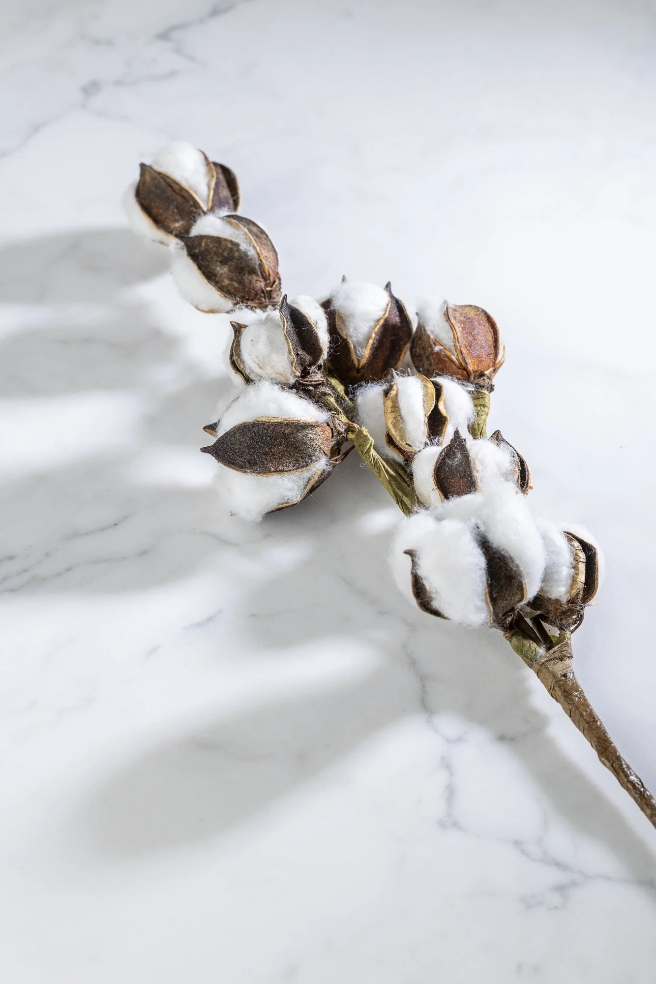 Styled commercial product photography for Gooch Gardener Candle Co.