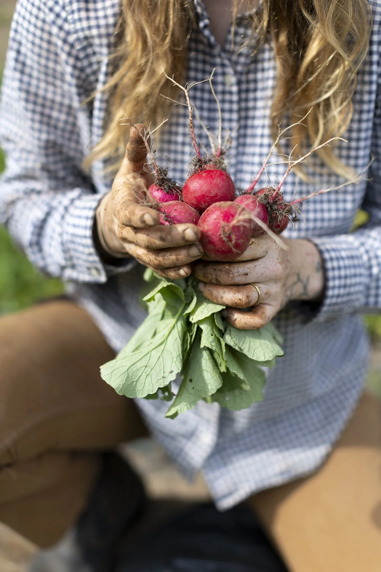 Editorial photography for September Sun Produce in Charlottesville, Virginia.