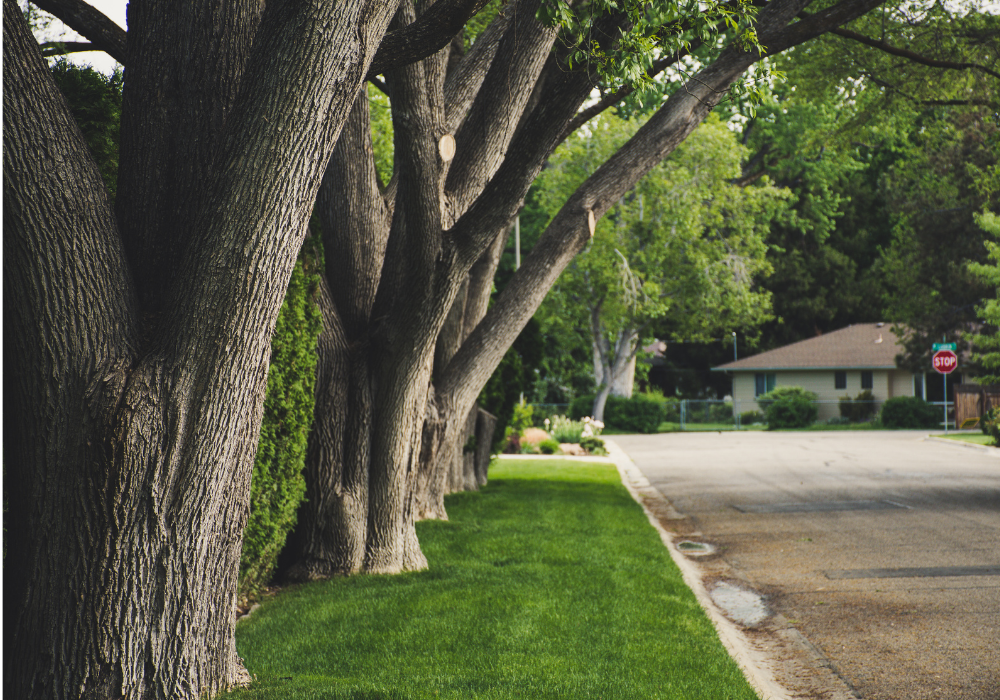 Residential rental property investment opportunity in a suburban market