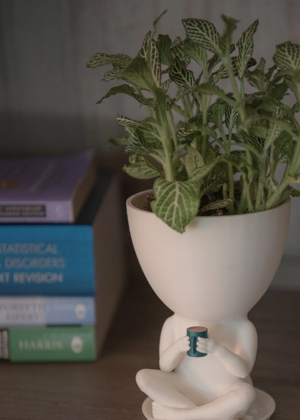 A green and white Nerve plant, or fittonia, in a white planter with coffee cup, sits on shelf next to stack of counseling books.