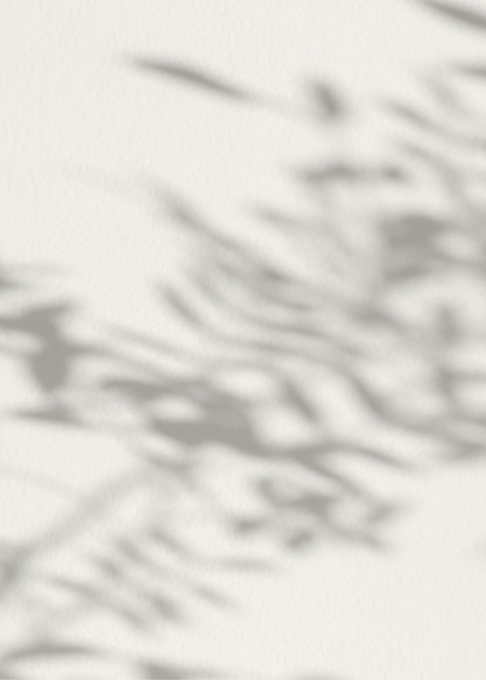 Gentle shadows of leaves on a taupe background.