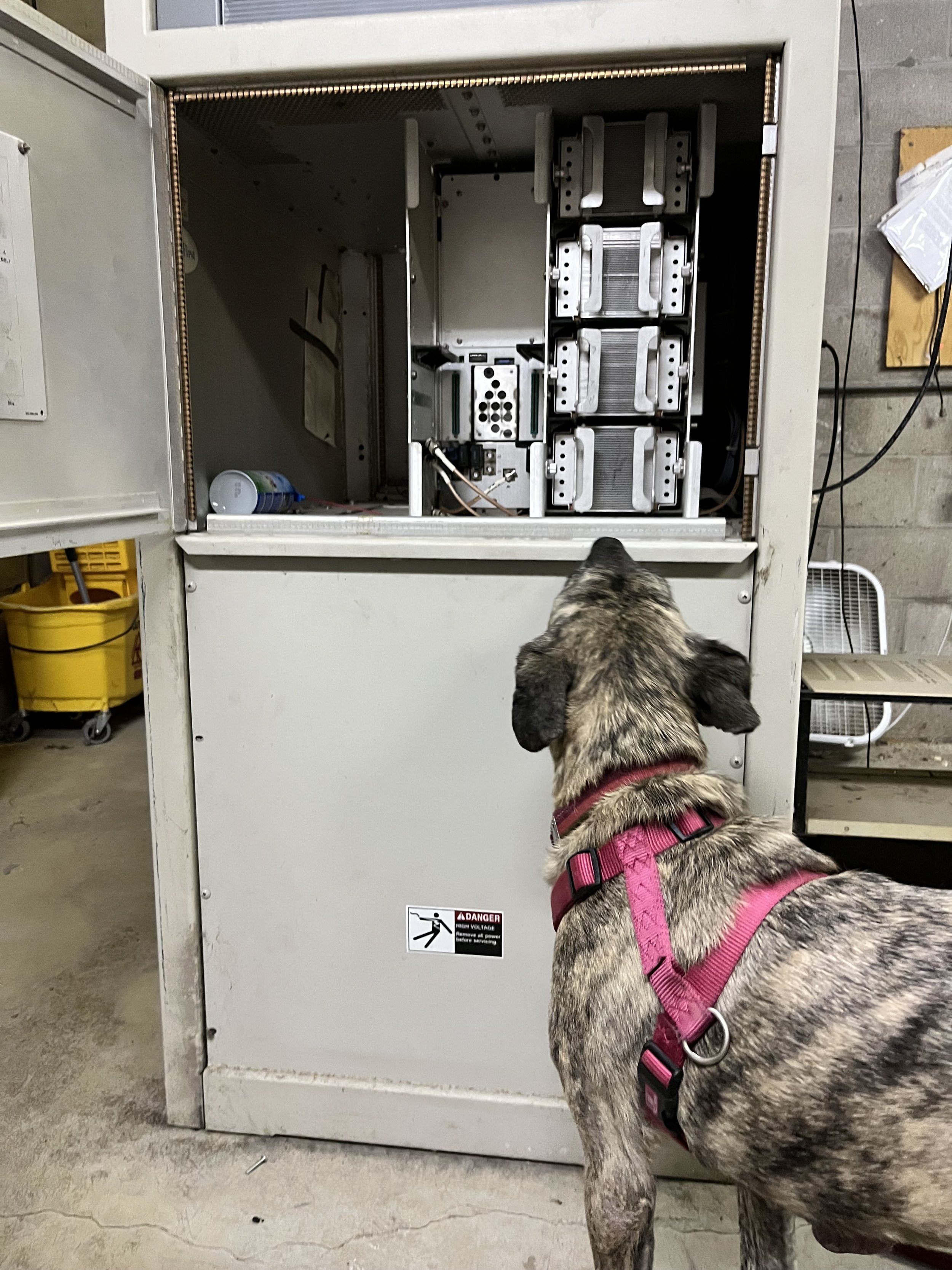 WNLF Transmitter Diagnostics 