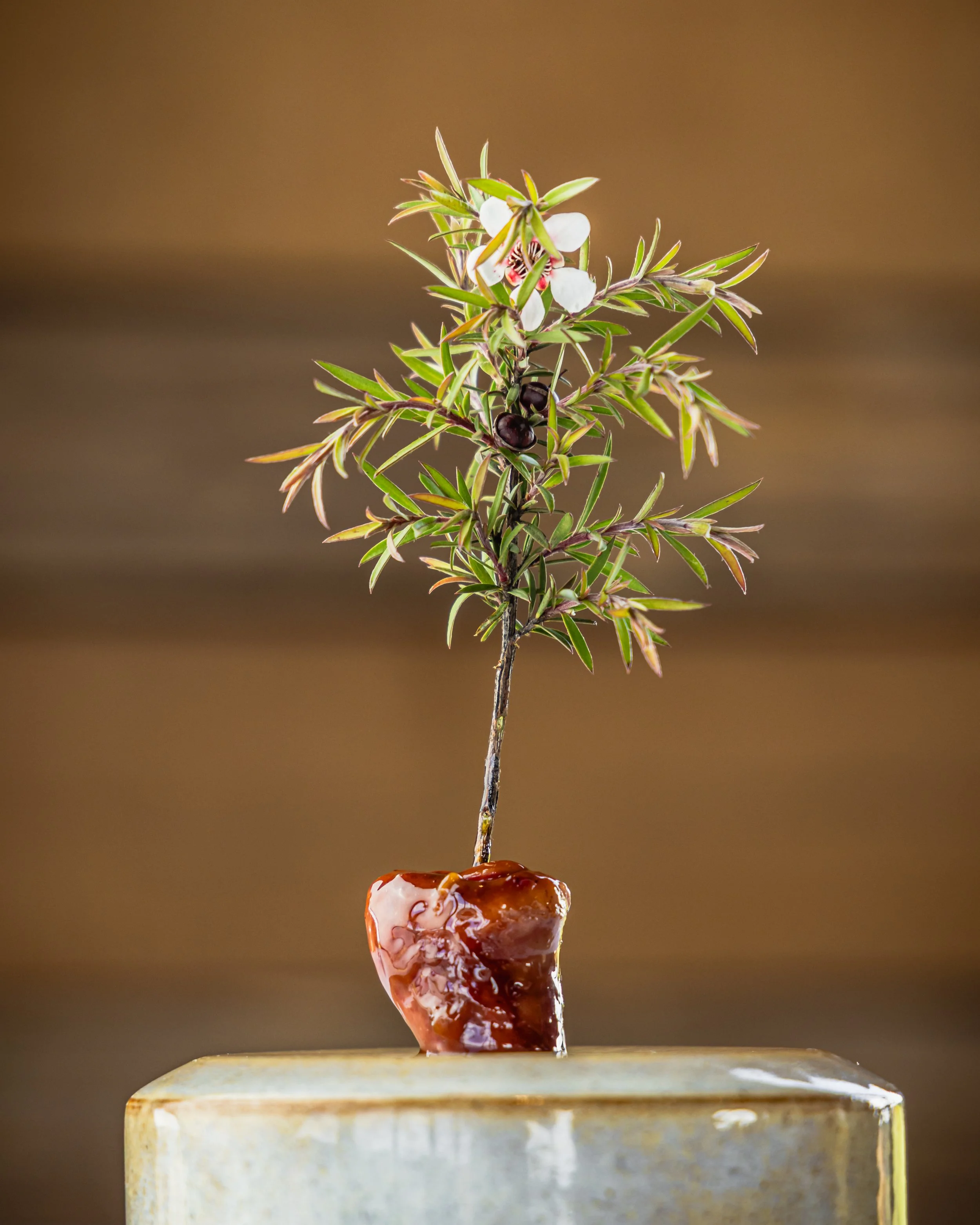Restaurants & Eateries - That Green Olive 165.jpg