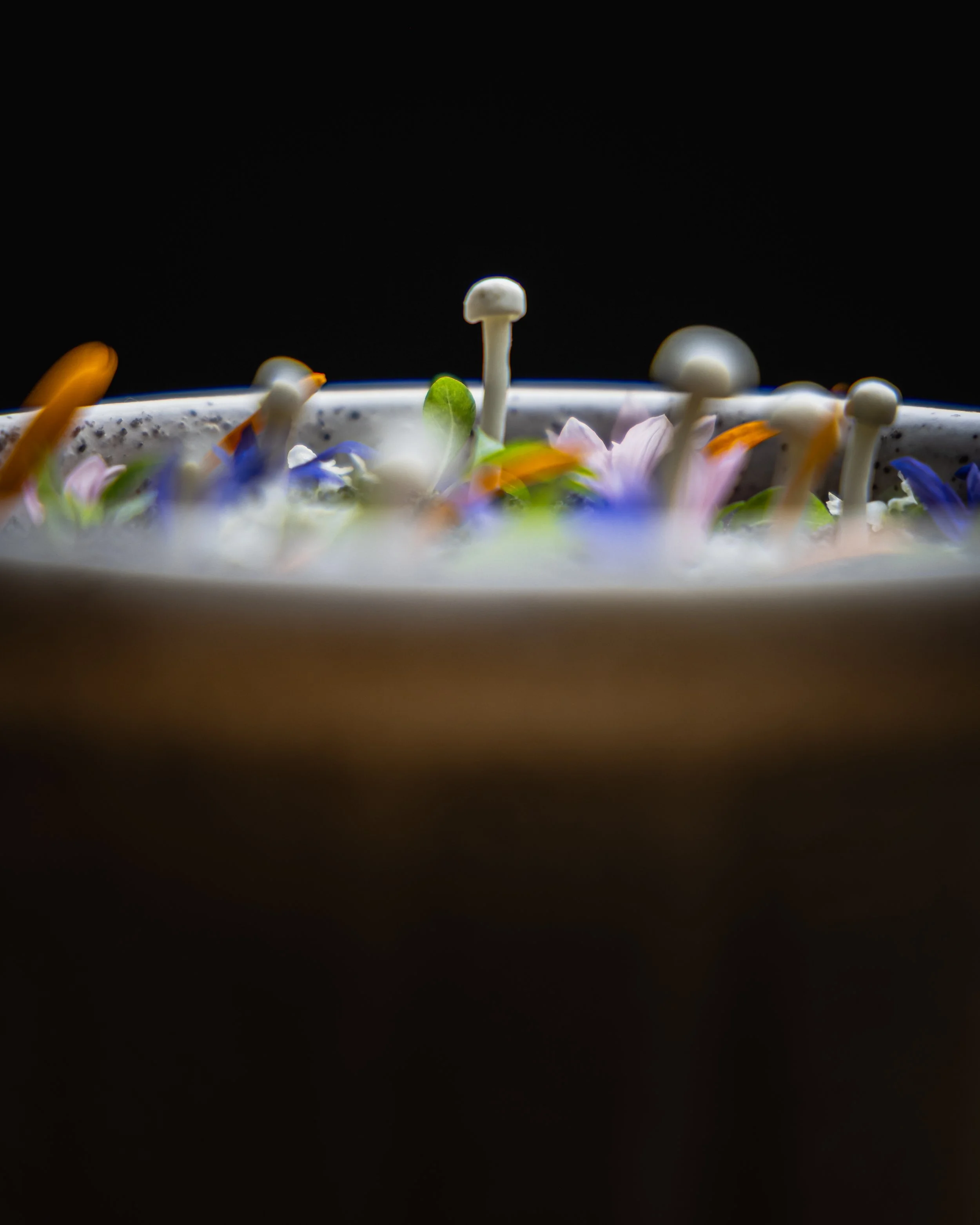 Restaurants & Eateries - That Green Olive 21.jpg