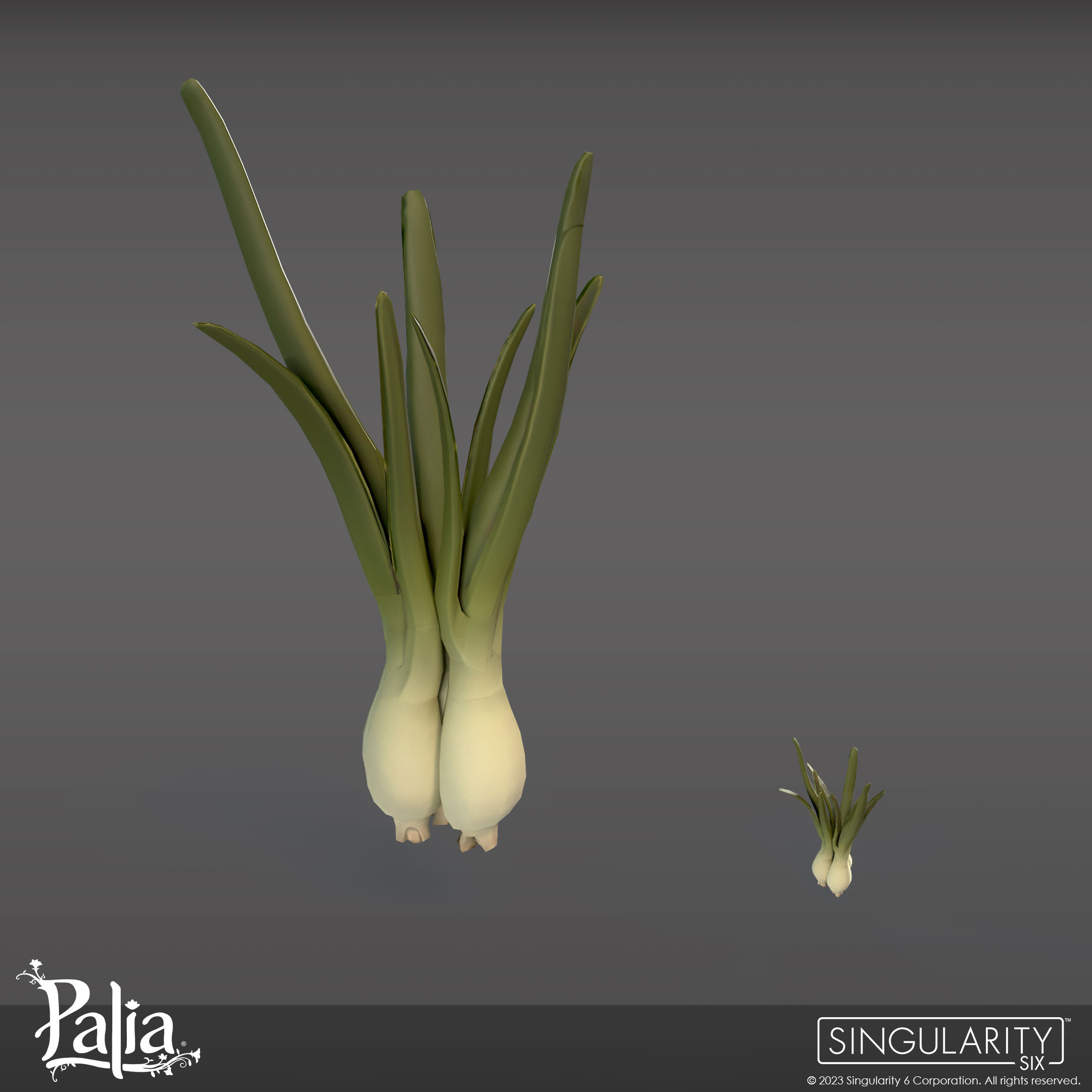sean-couture-greenonion-01.png